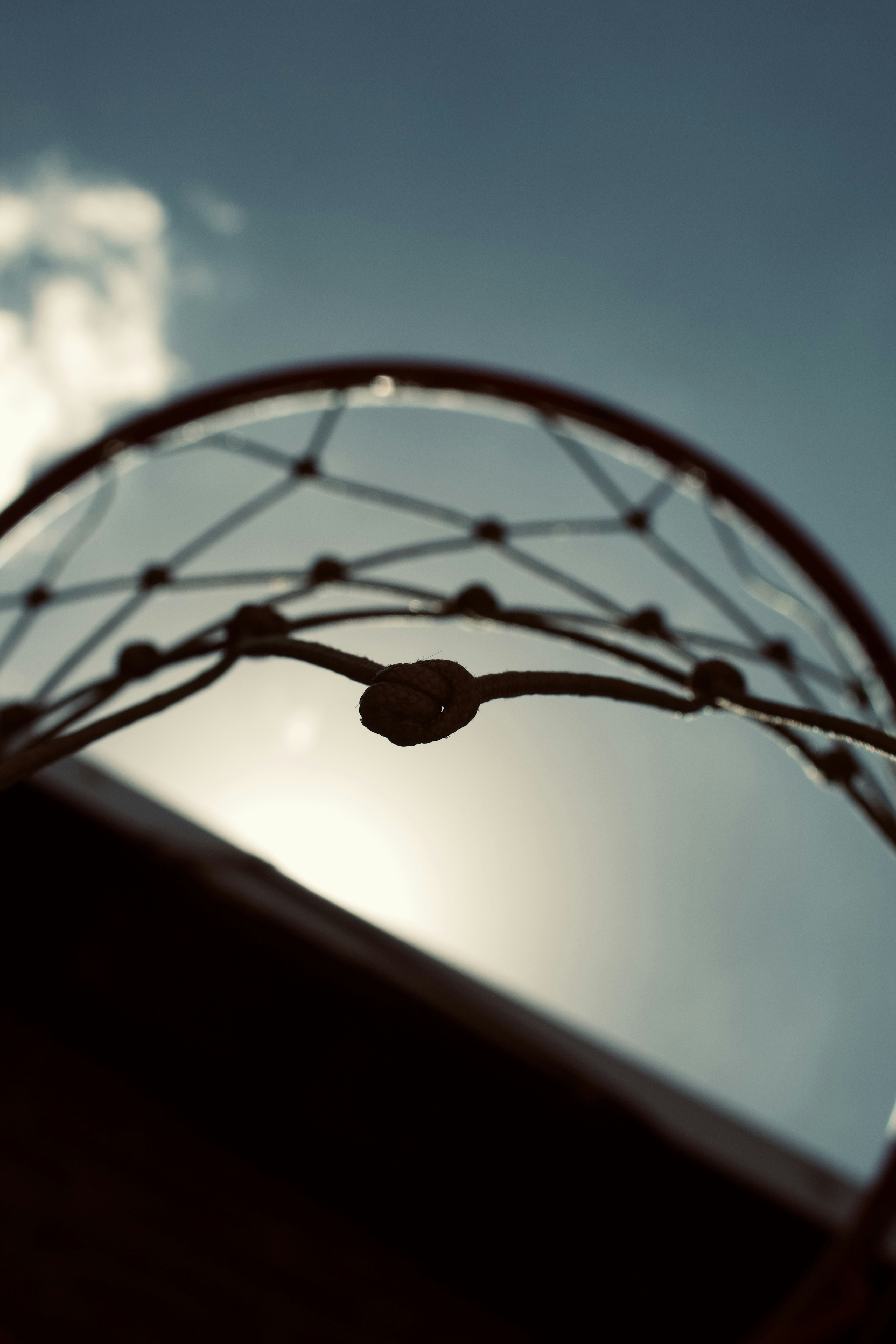 Photo by proudlyalive