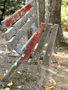 Faded teak bench showing signs of wear and discoloration.