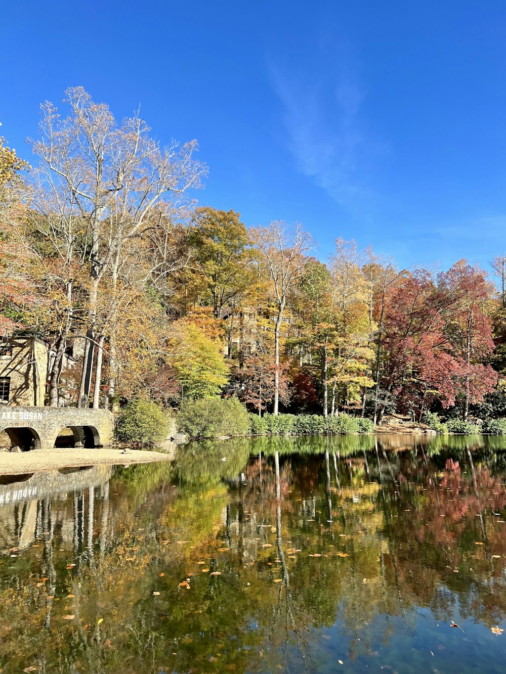 a body of water with trees around it