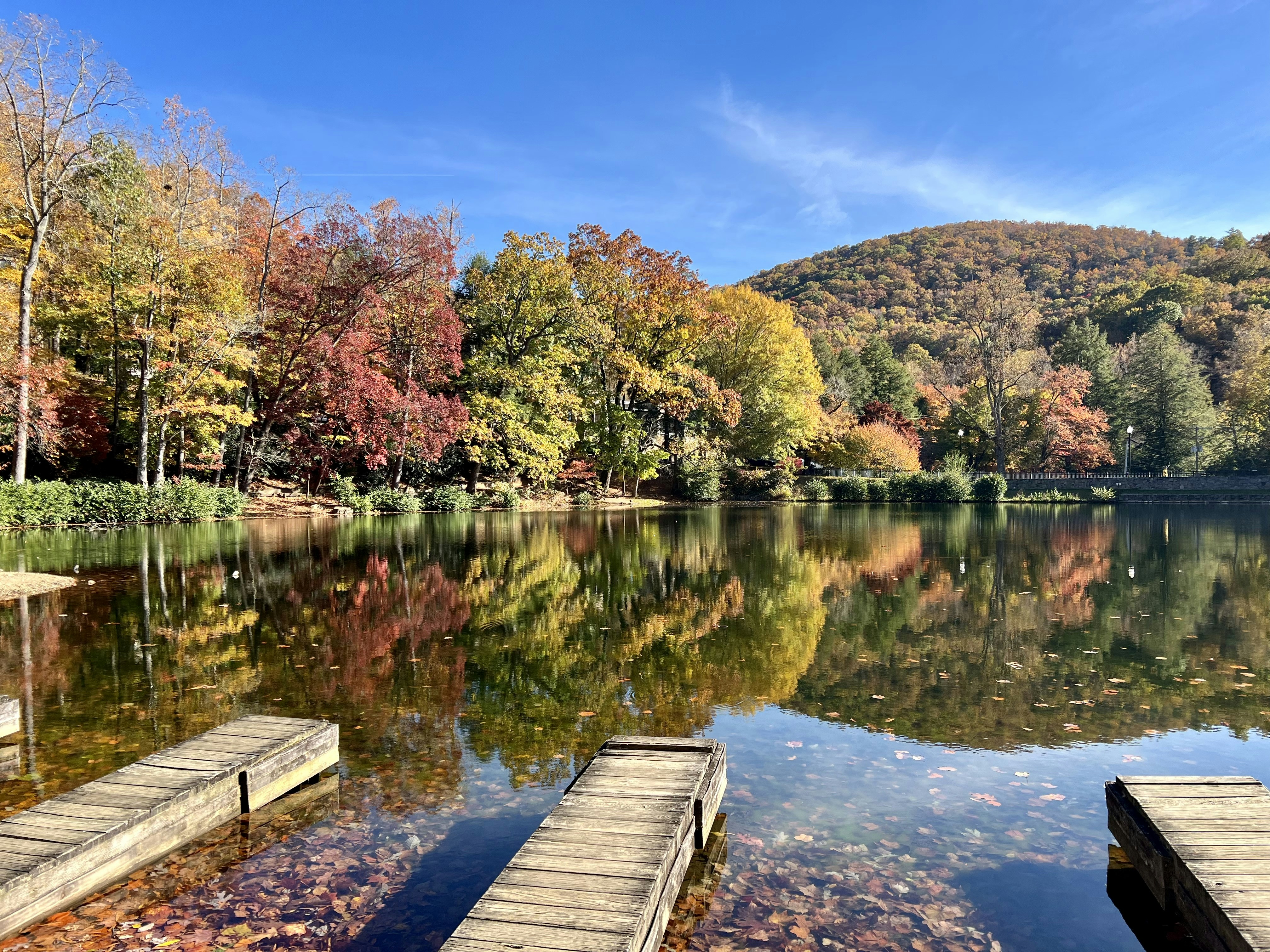 a body of water with trees around it
