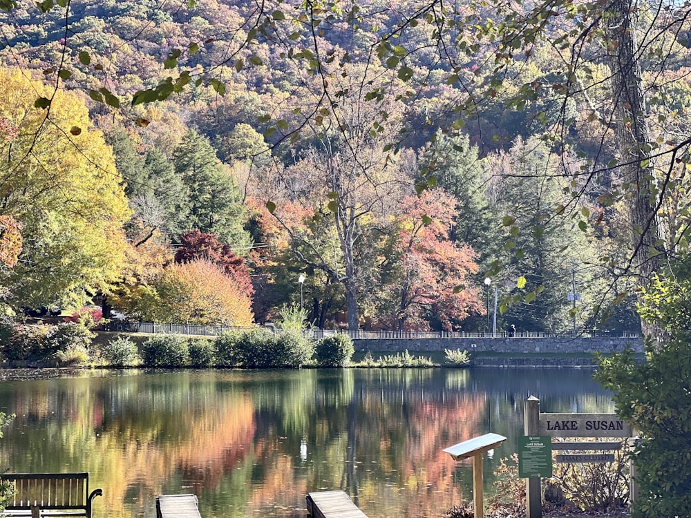 a body of water with trees around it