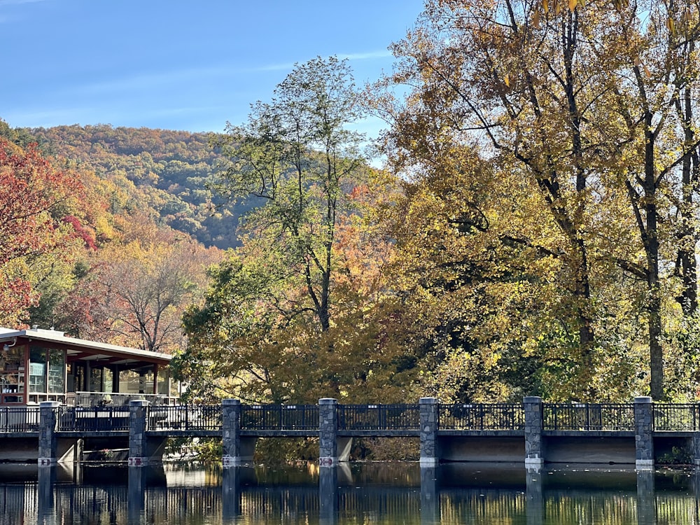 a dock over a body of water with trees around it