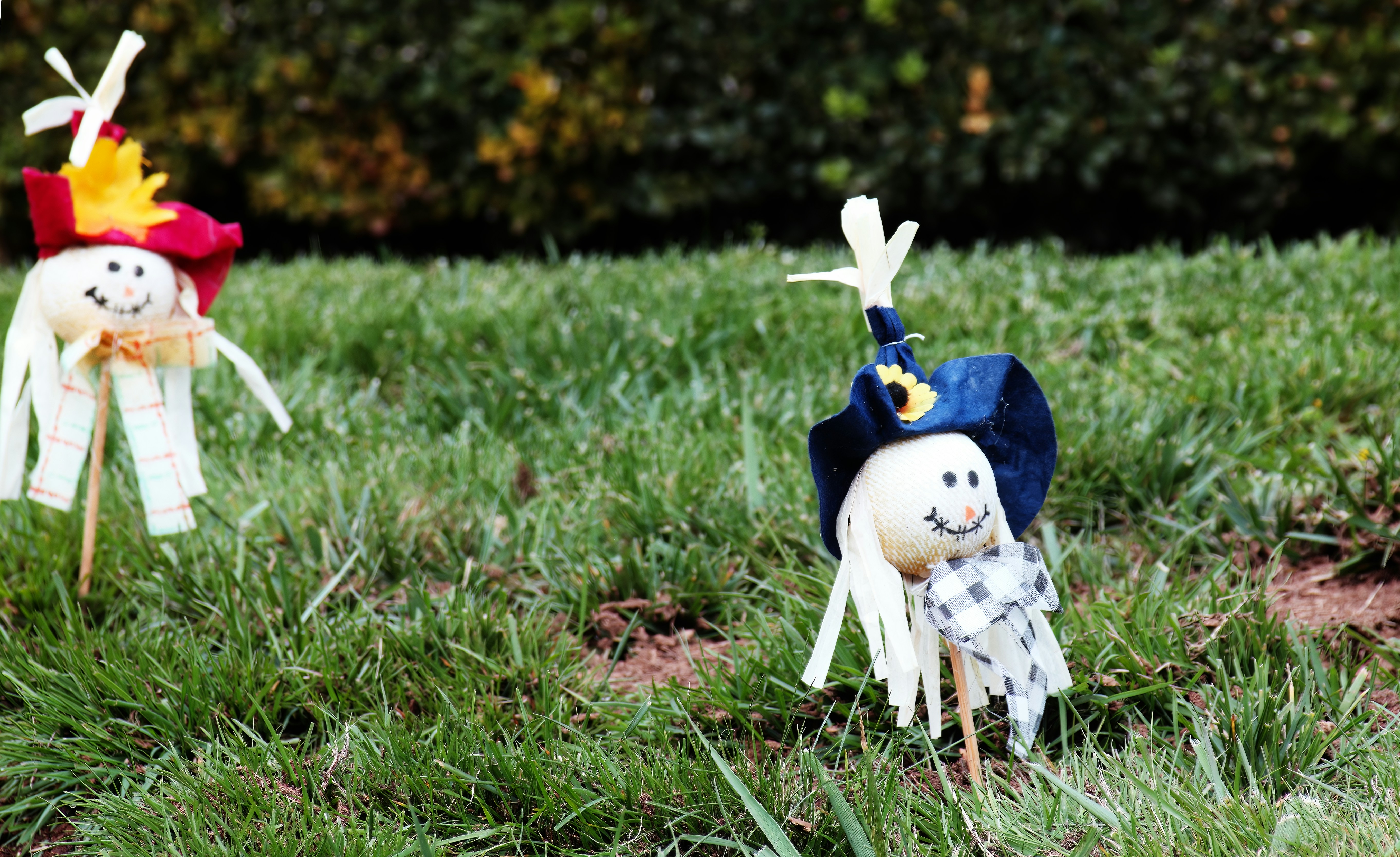 Transform Your Lawn for Special Occasions: A Step-by-Step Guide