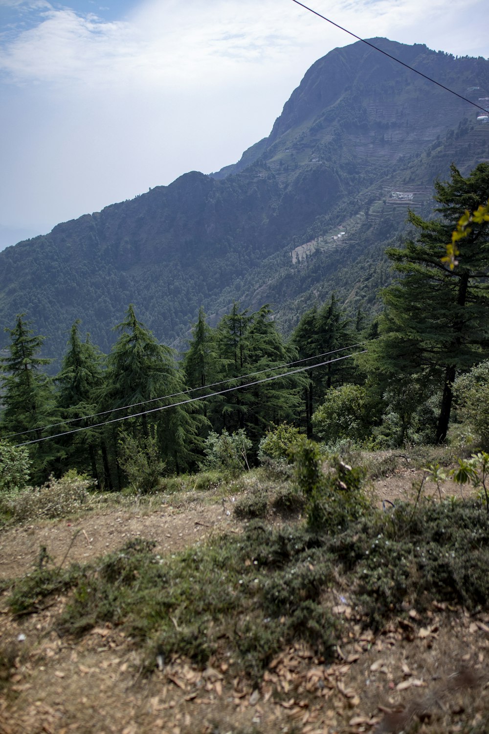 a mountain with trees and a cable car going over it