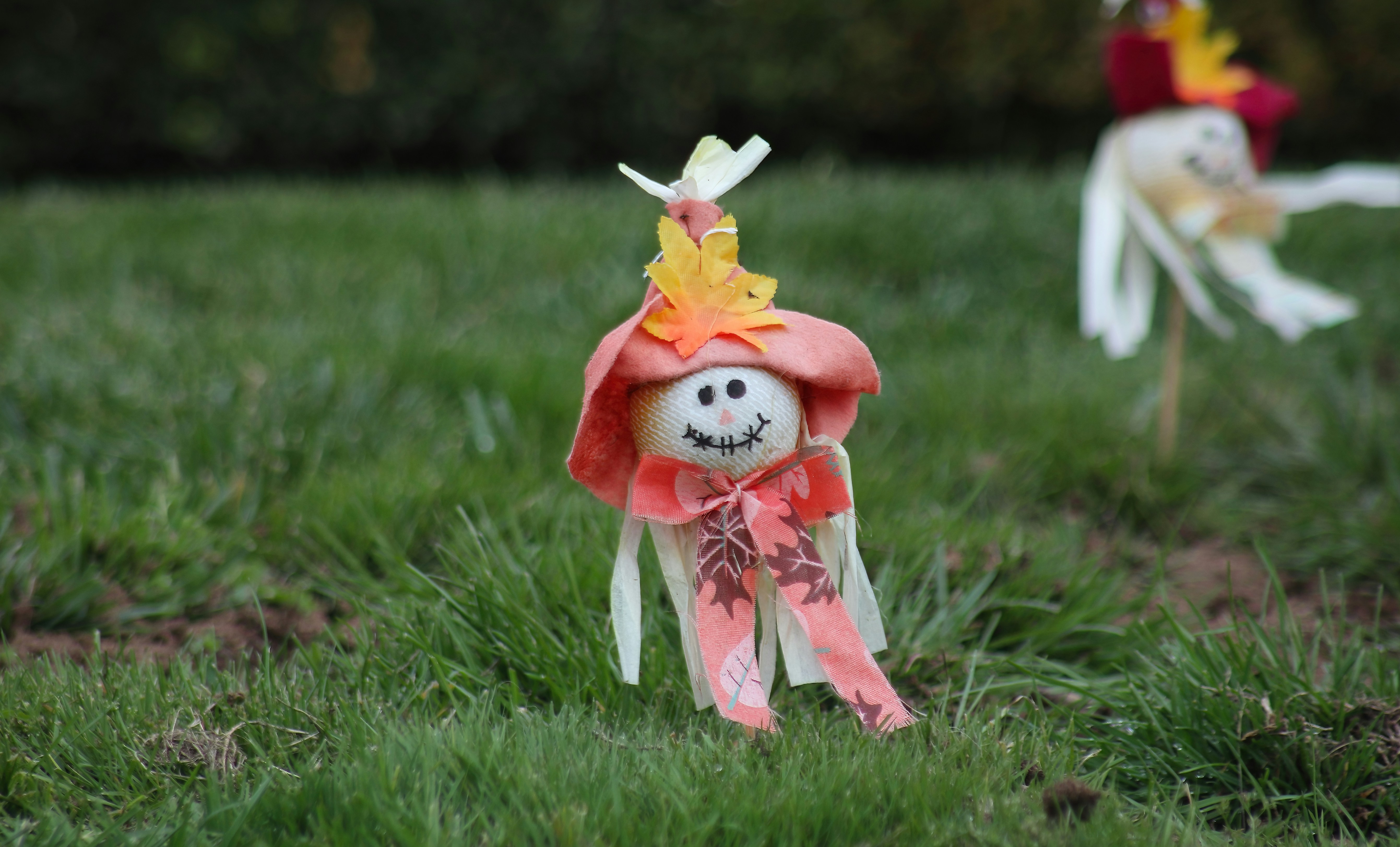 a stuffed animal in a grassy area