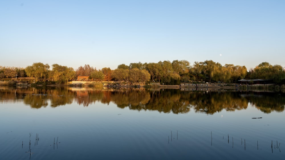 a body of water with trees around it