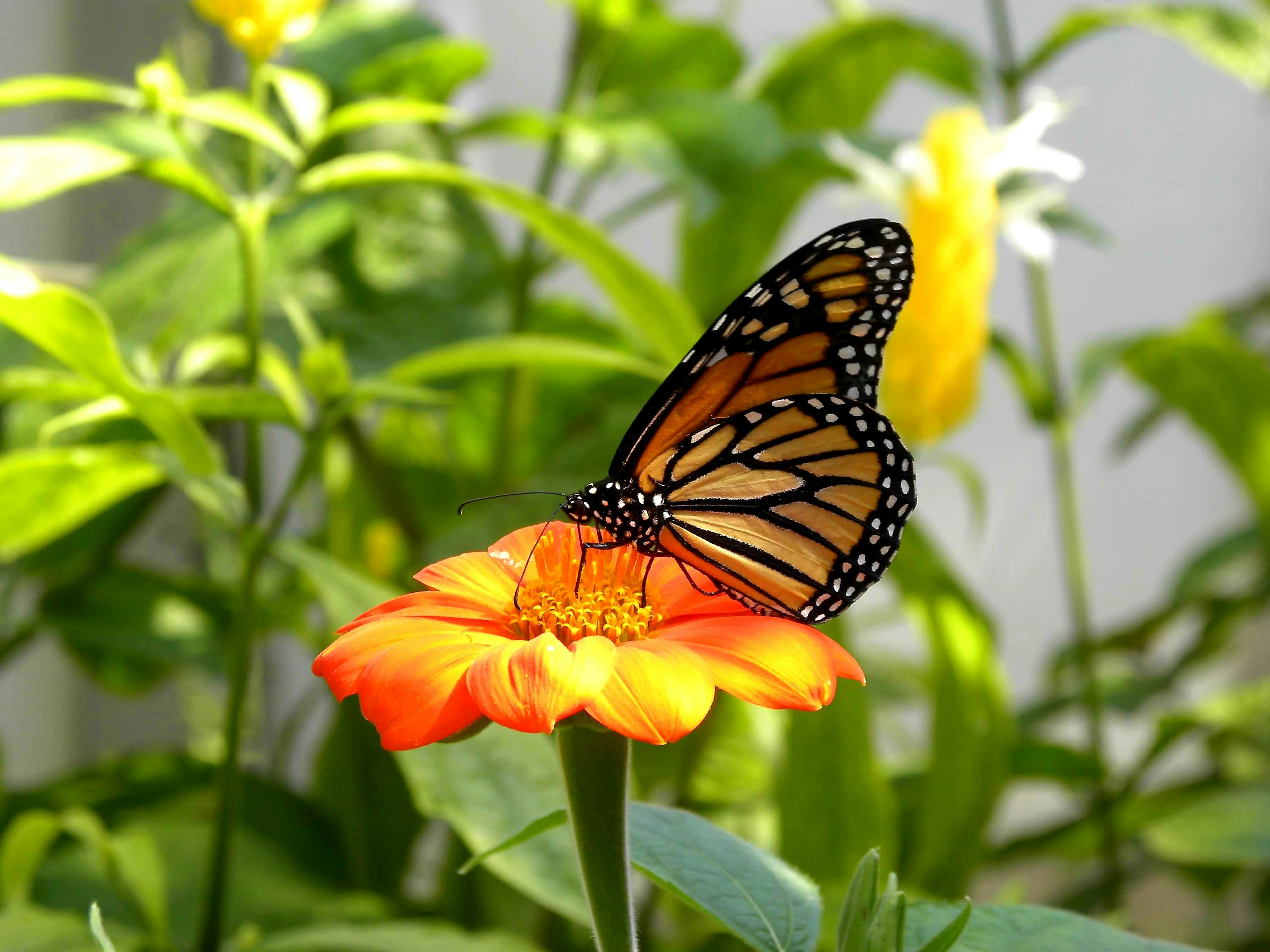 Photo by rbh_designs