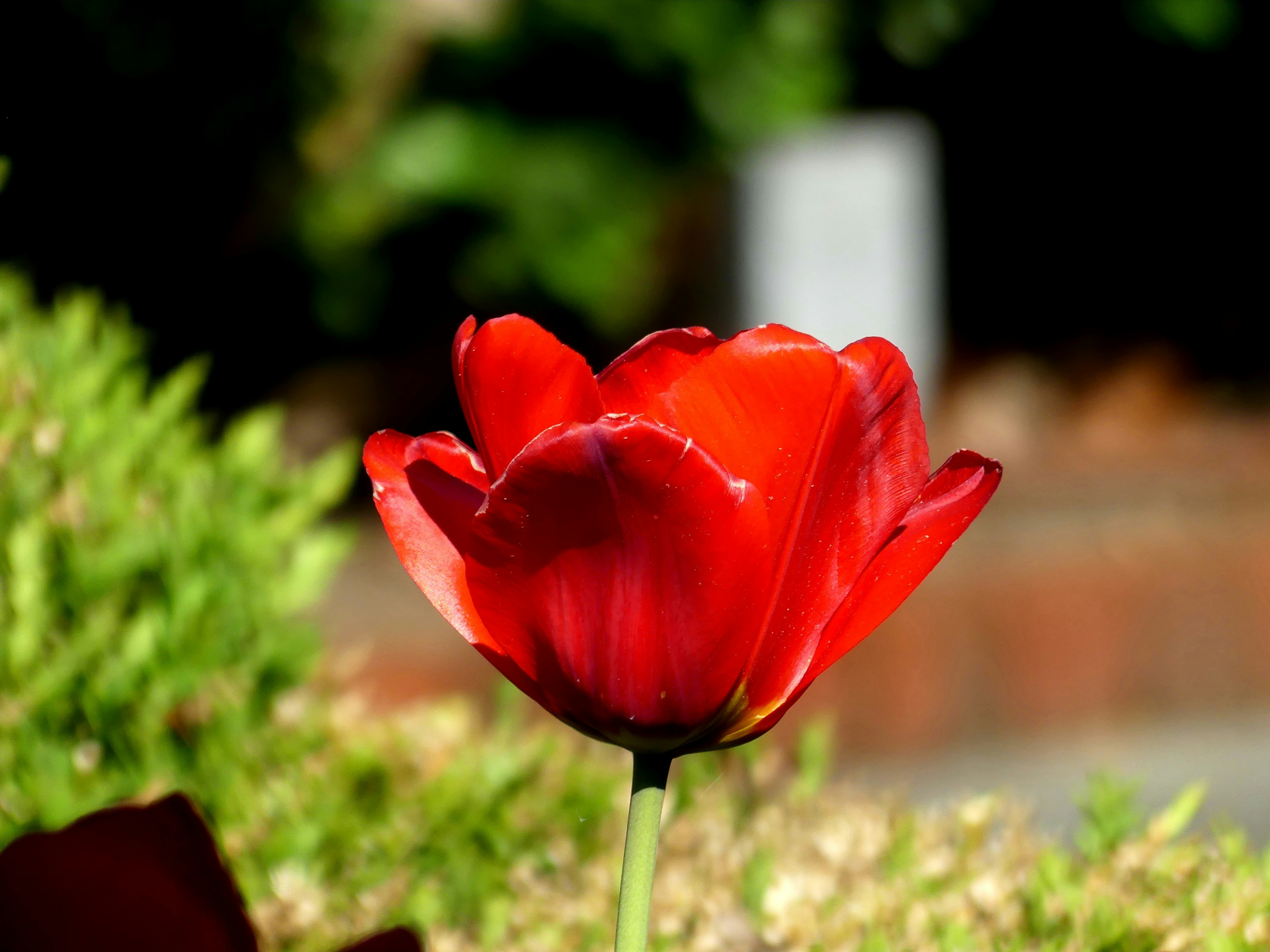 Photo by rbh_designs