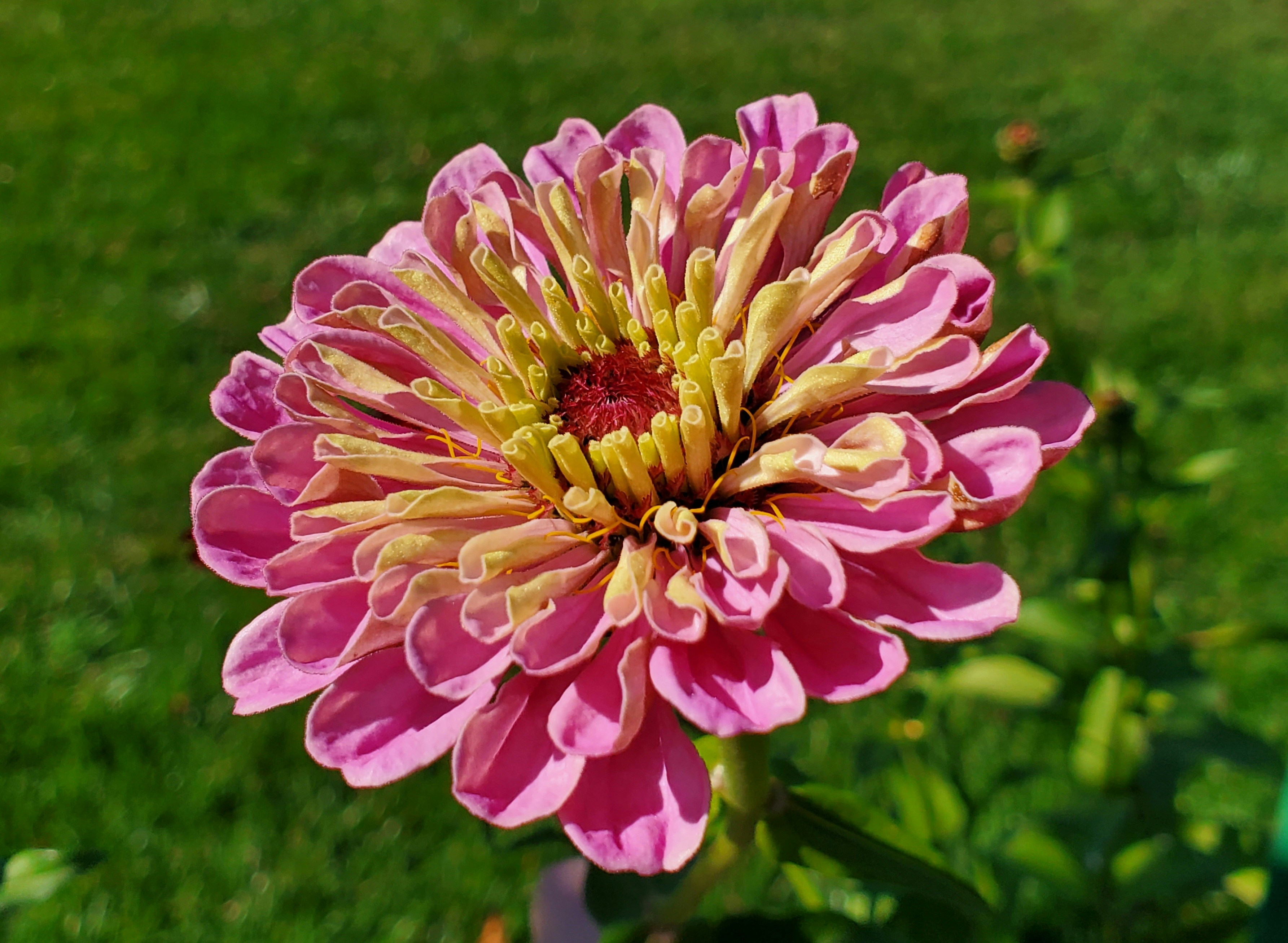 Photo by rbh_designs