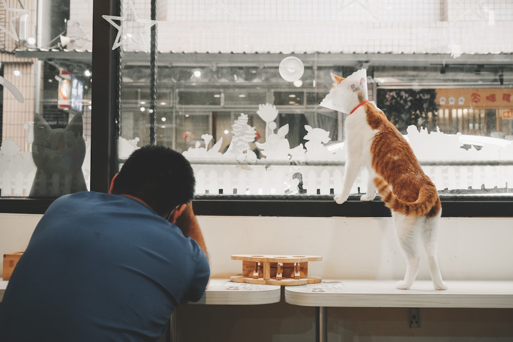 a man looking at a cat