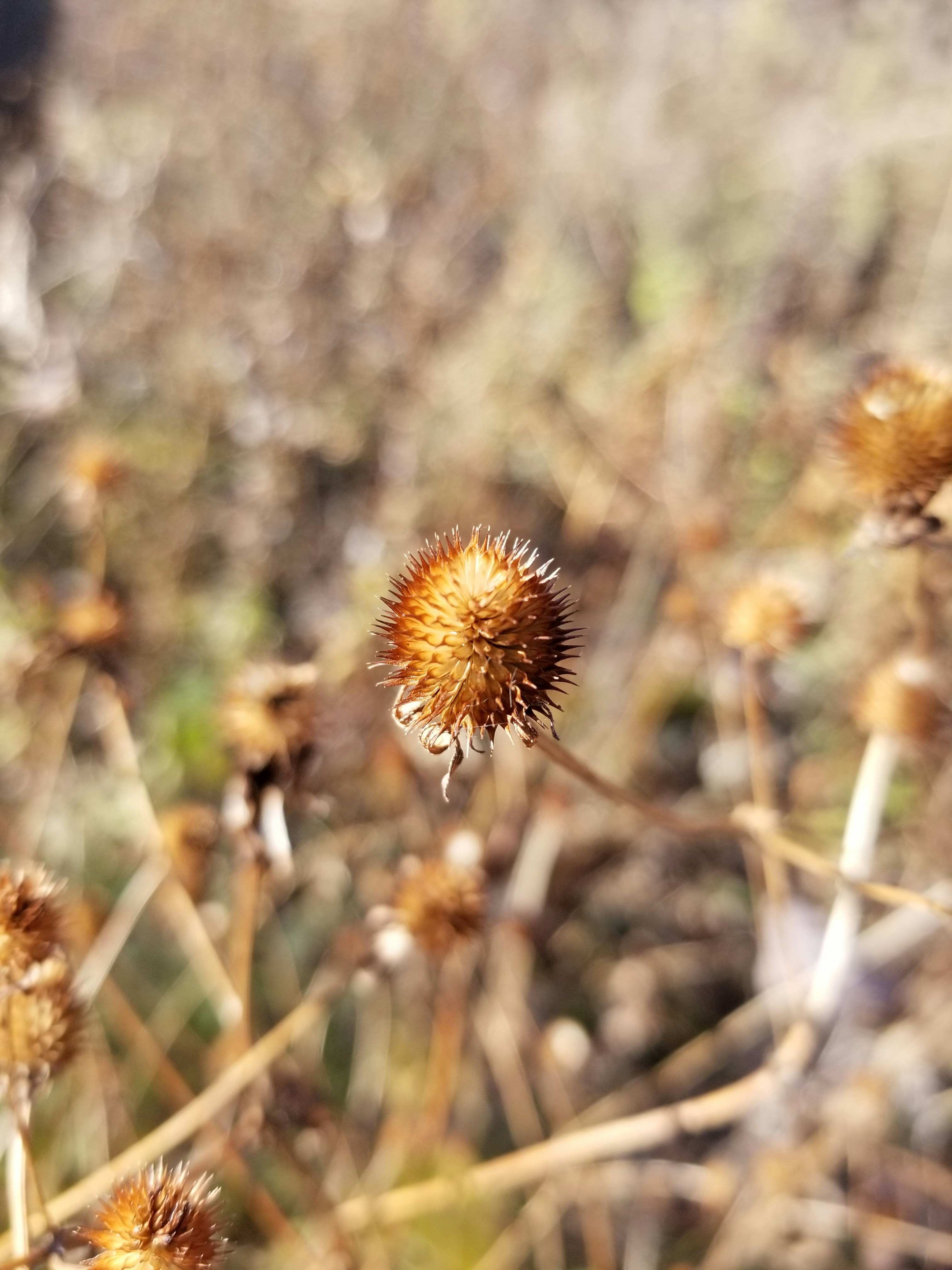 Photo by thundertiger