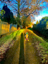 Happy child riding a vivid green tinywheelz bike along a sunlit park path surrounded by trees.