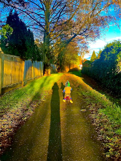 Smiling toddler riding a bright orange balance bike on a sunny park path surrounded by green trees.