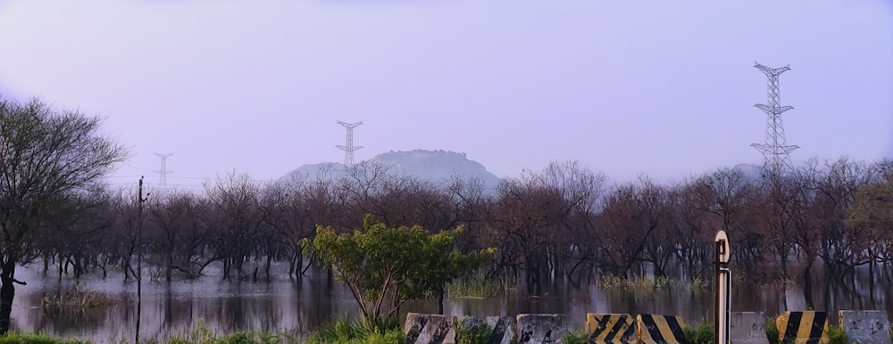 a body of water with trees and a tower in the background