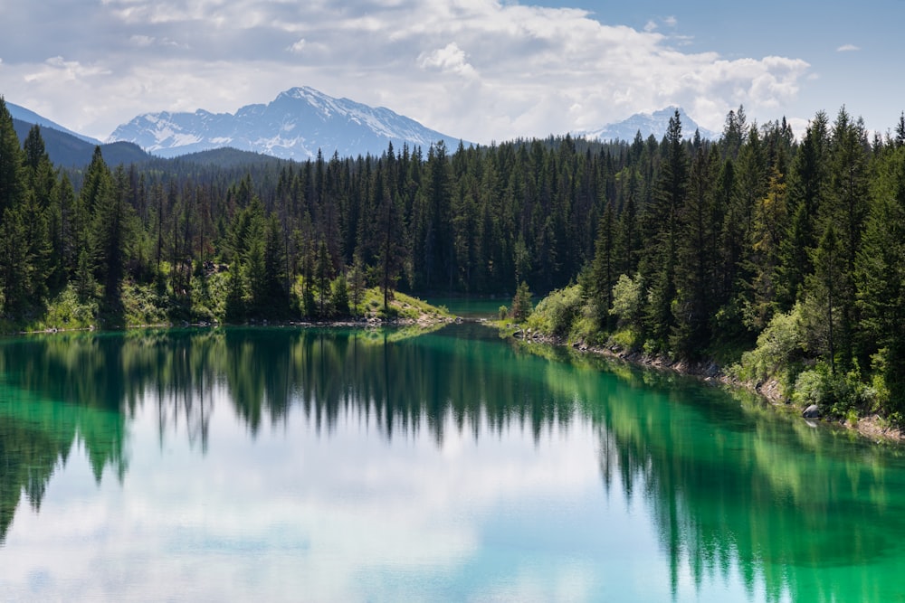 a lake surrounded by trees and mountains