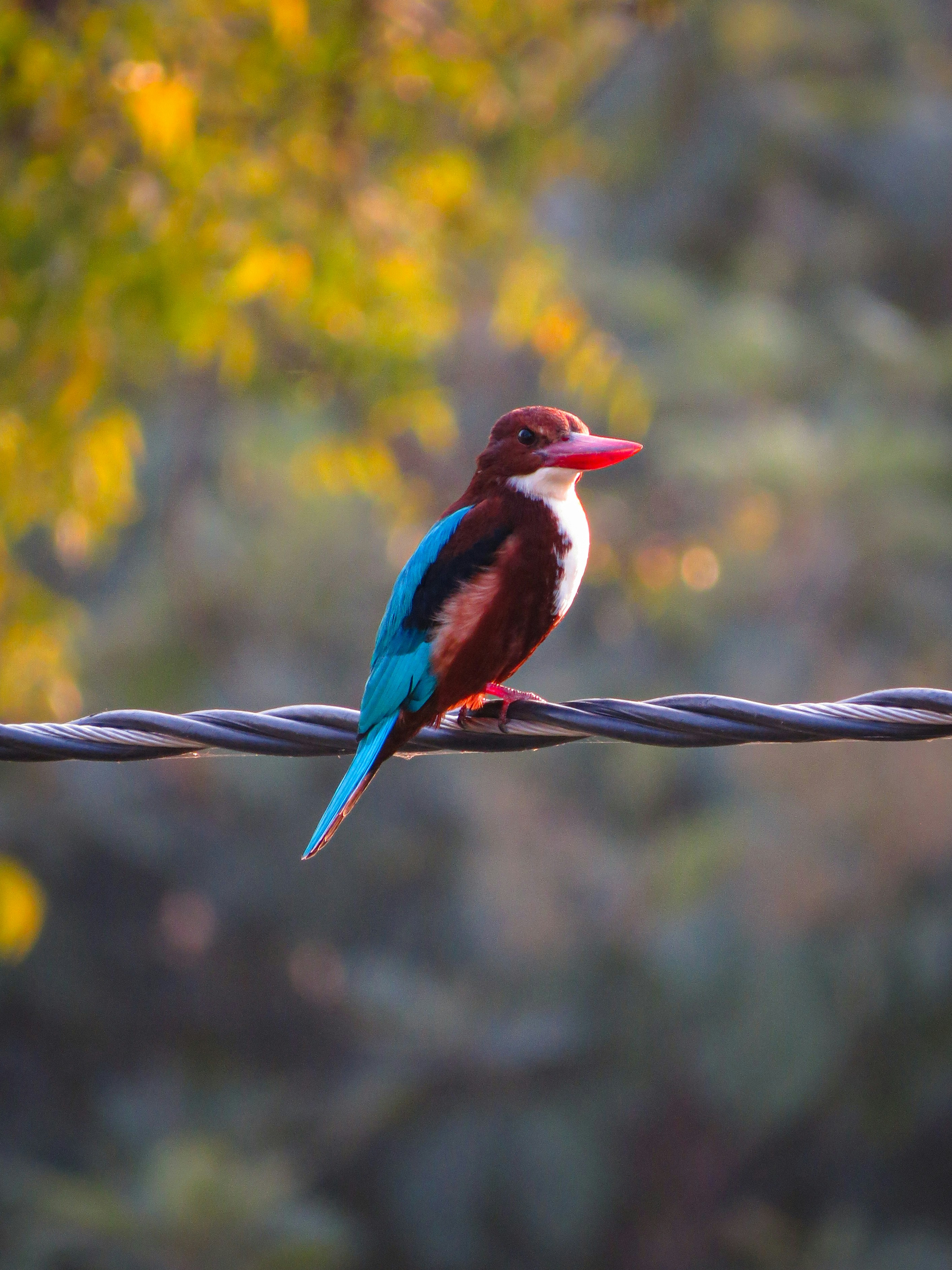 Photo by anandramavath_786