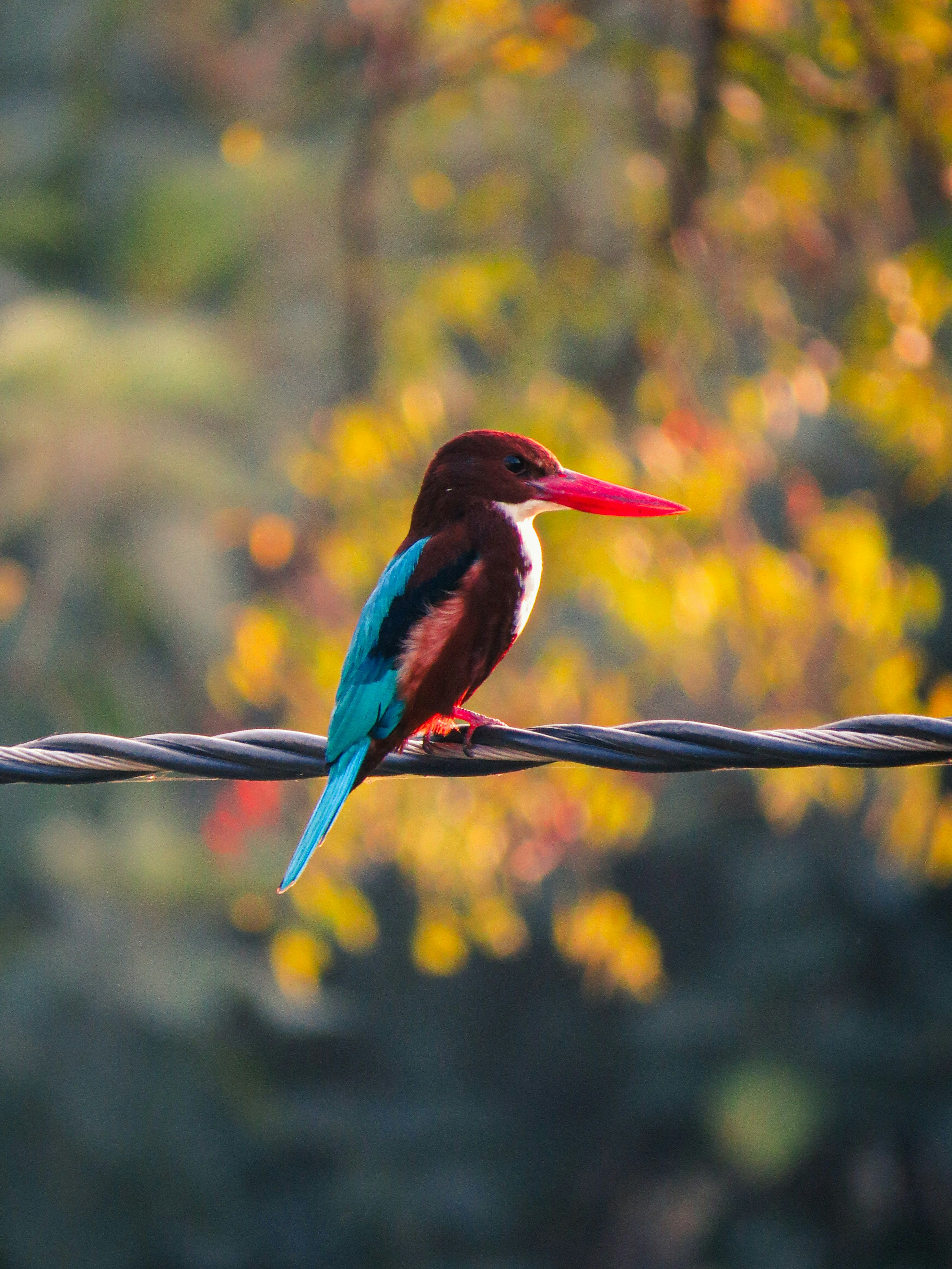 Photo by anandramavath_786