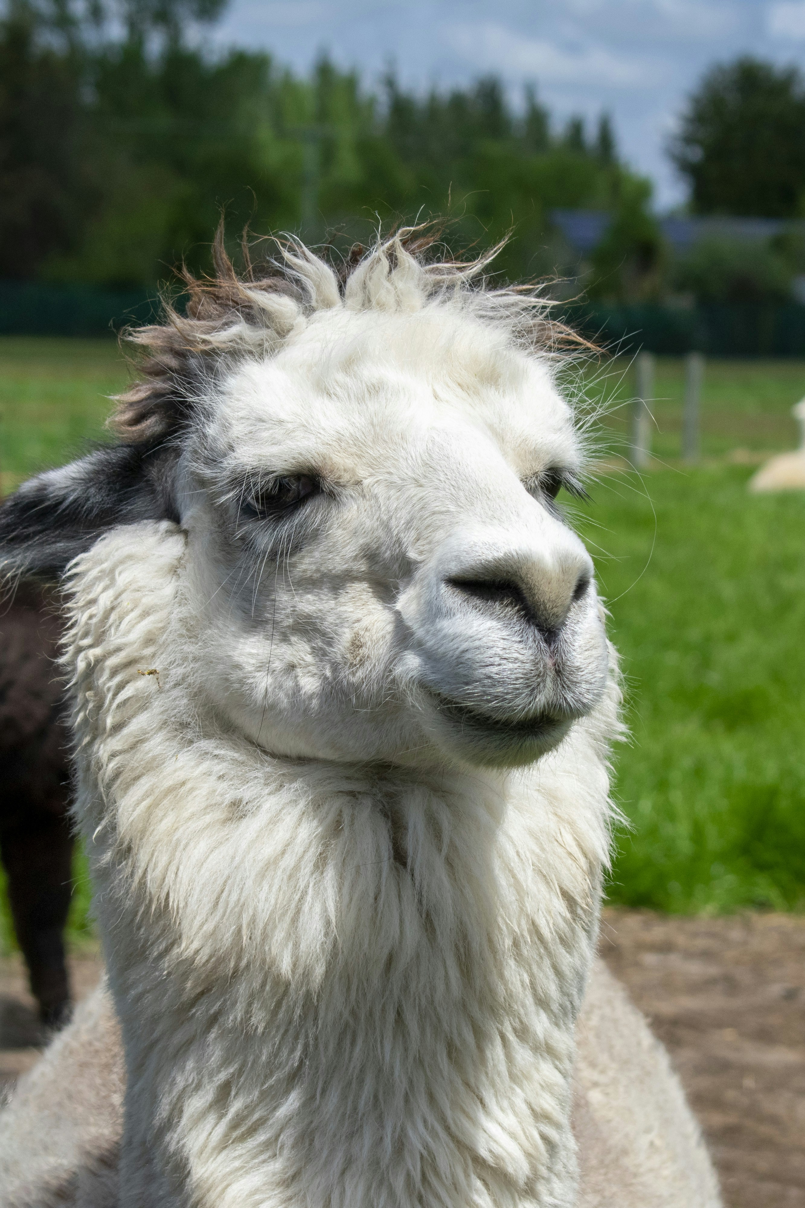 Photo by ellephant_photography