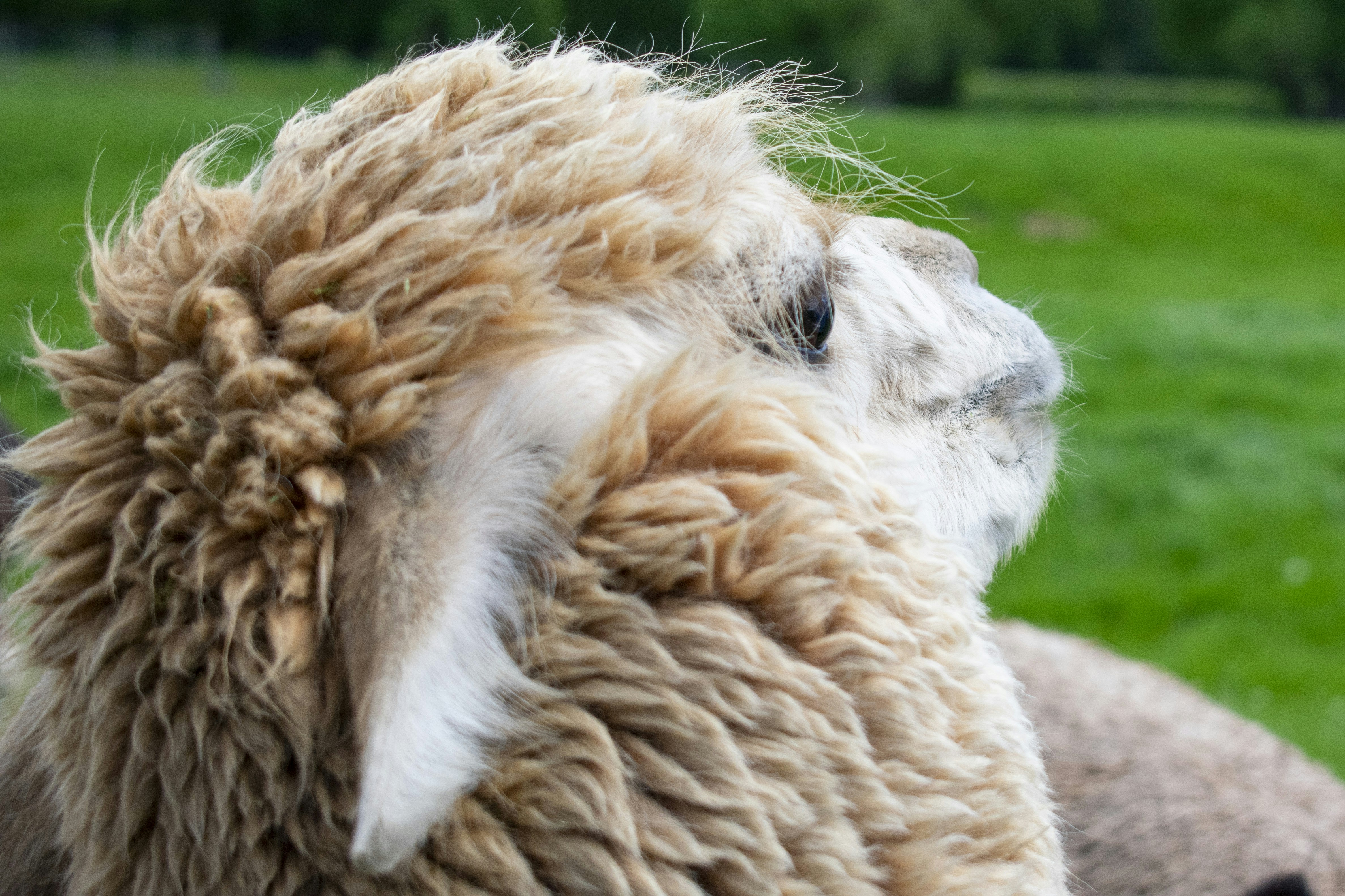 Photo by ellephant_photography