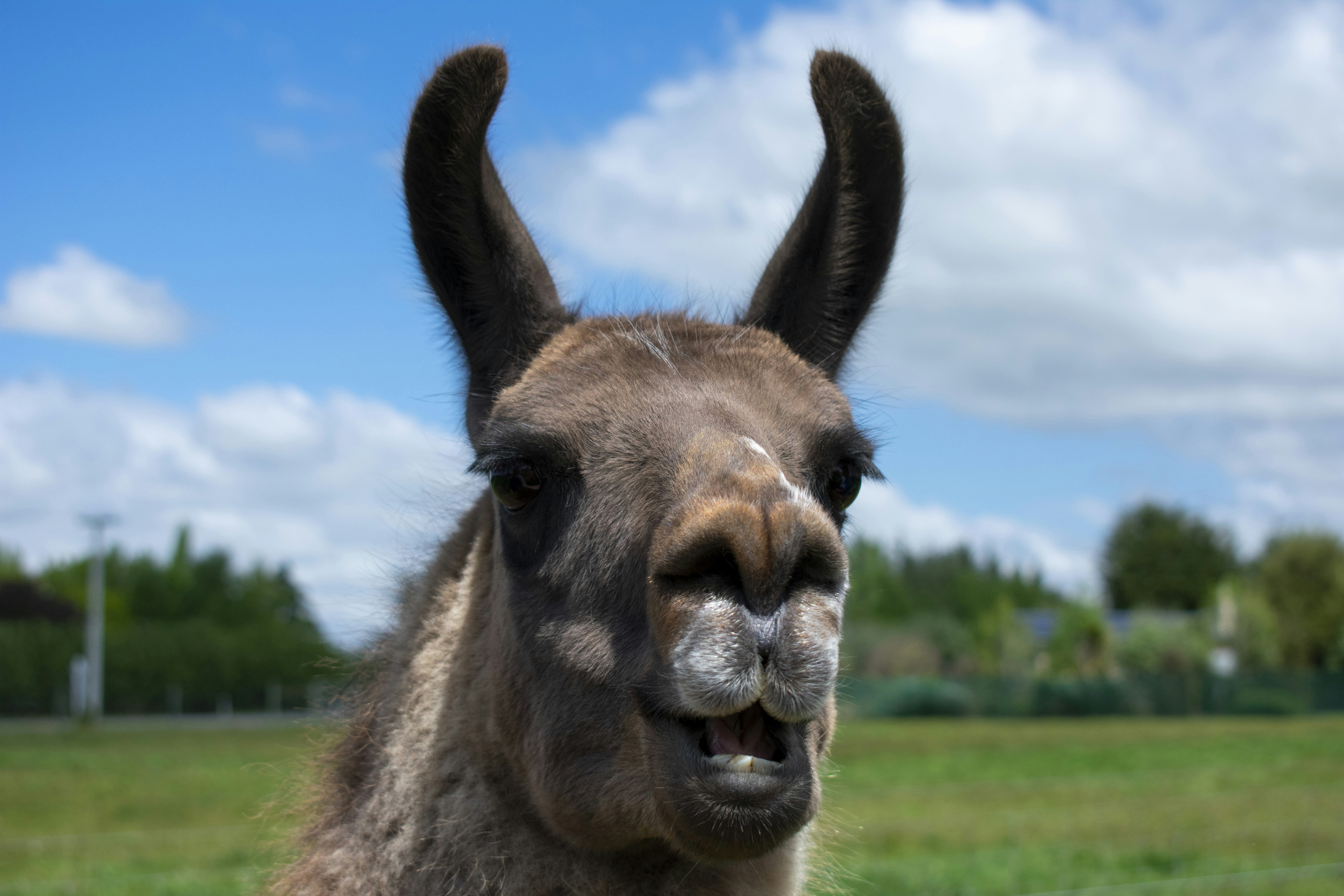 Photo by ellephant_photography