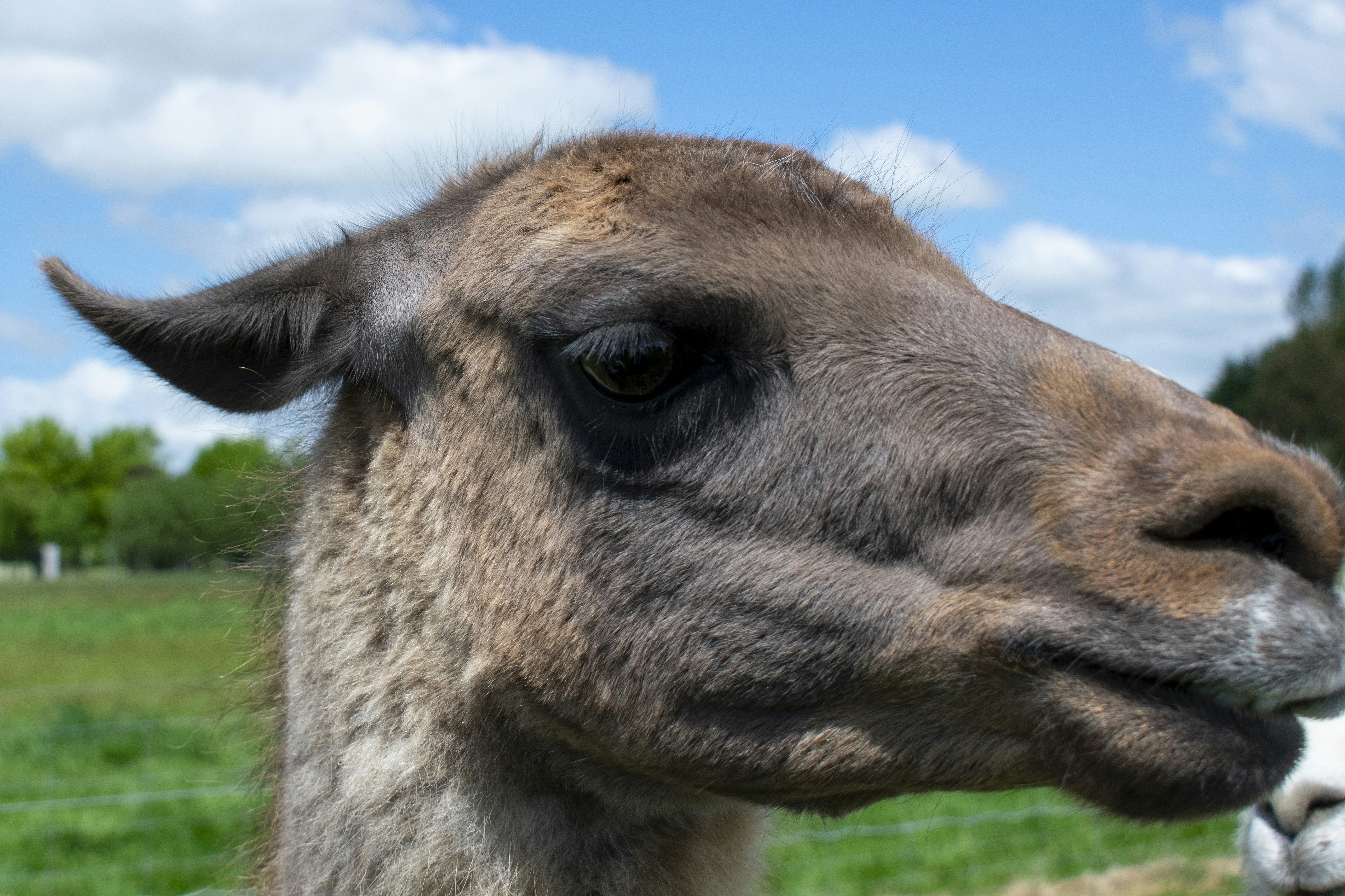 Photo by ellephant_photography