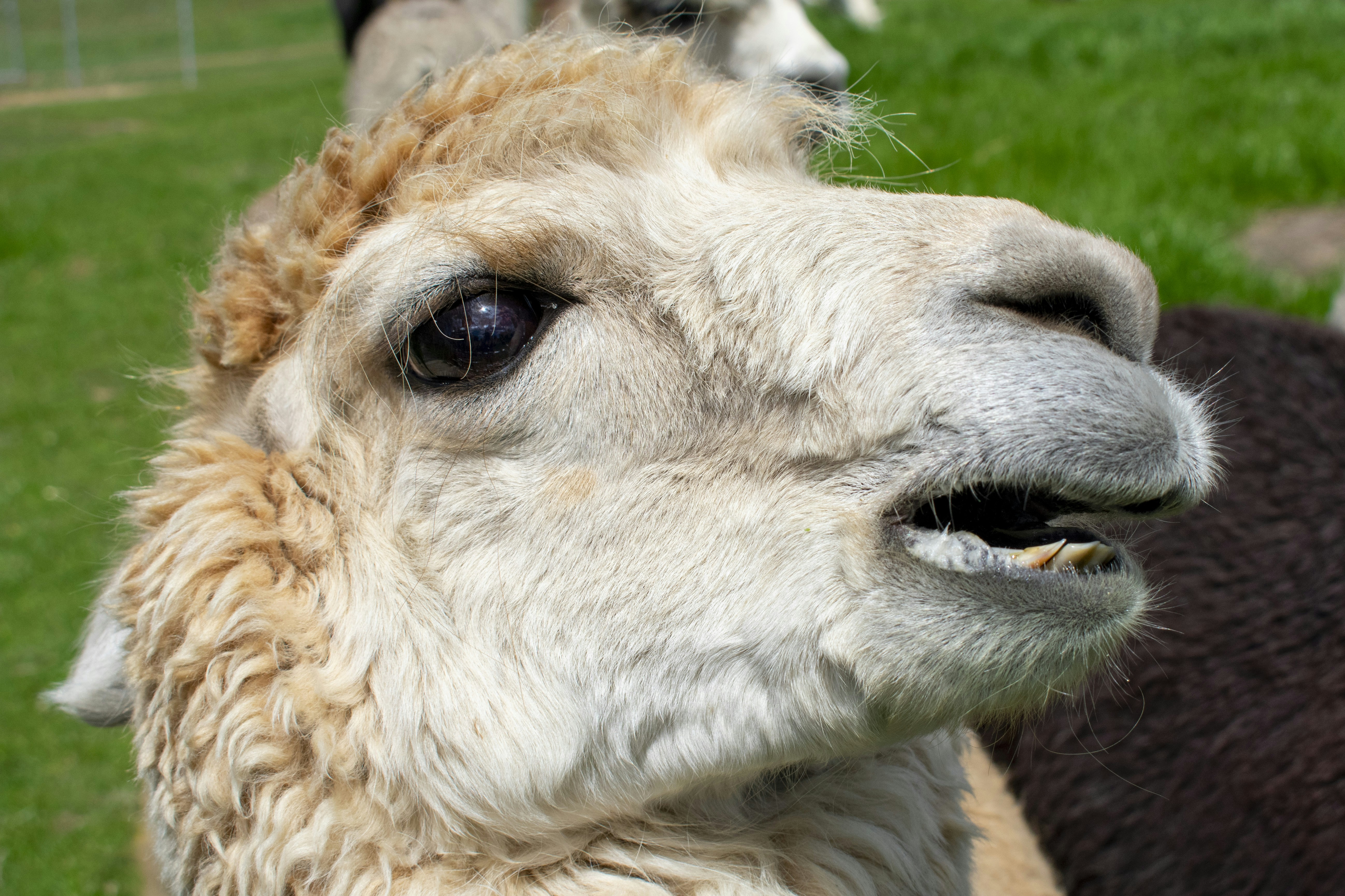 Photo by ellephant_photography