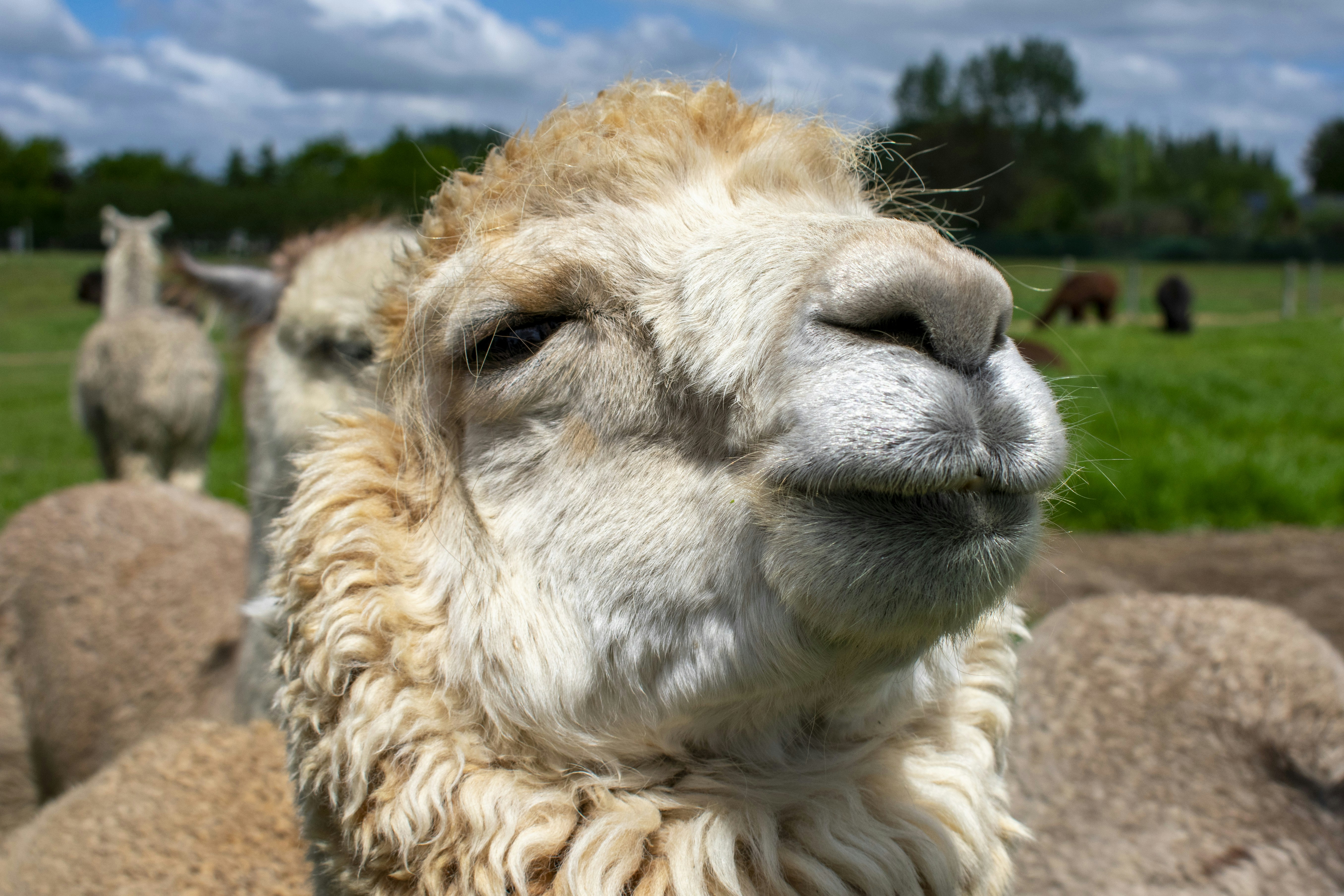 Photo by ellephant_photography