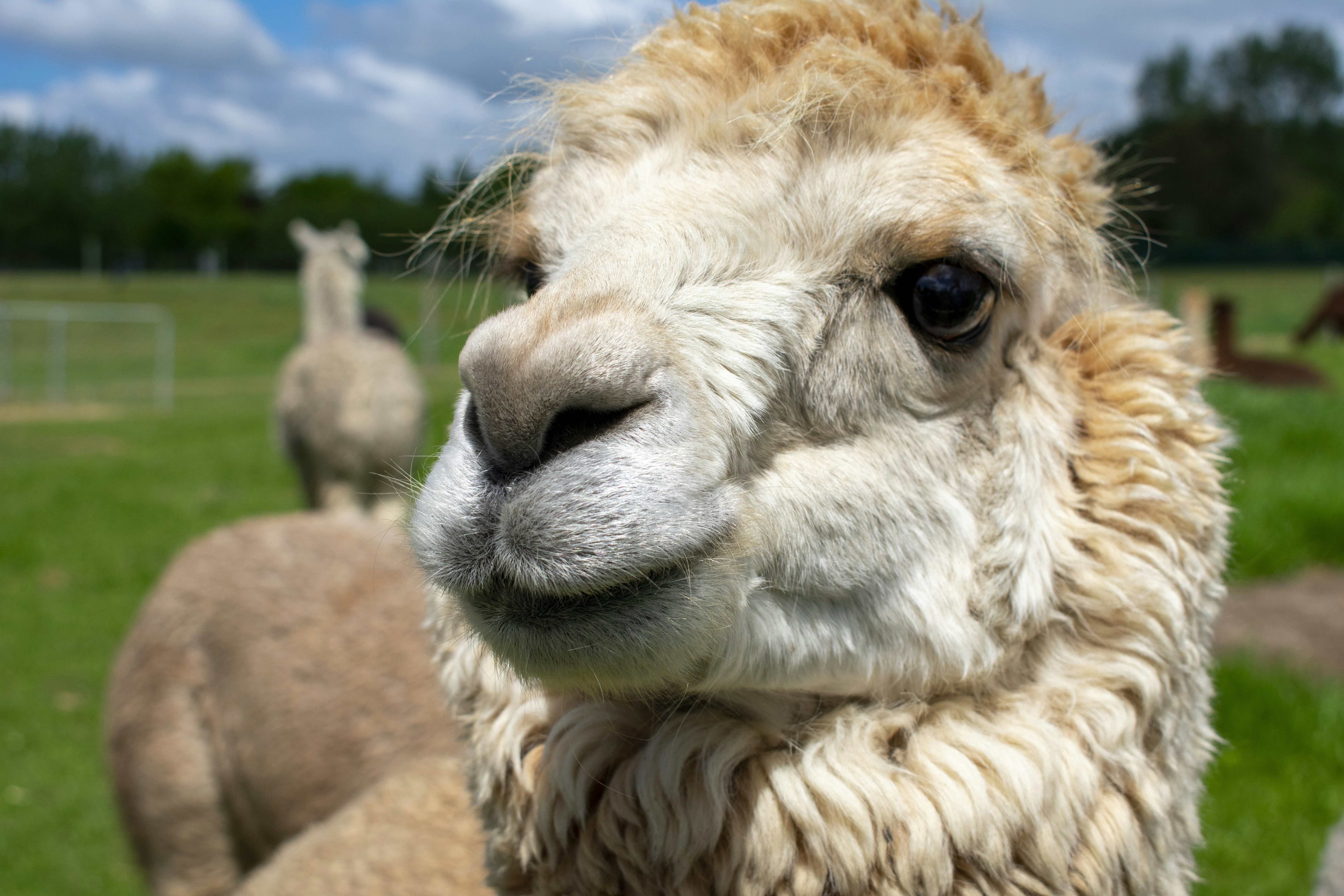 Photo by ellephant_photography