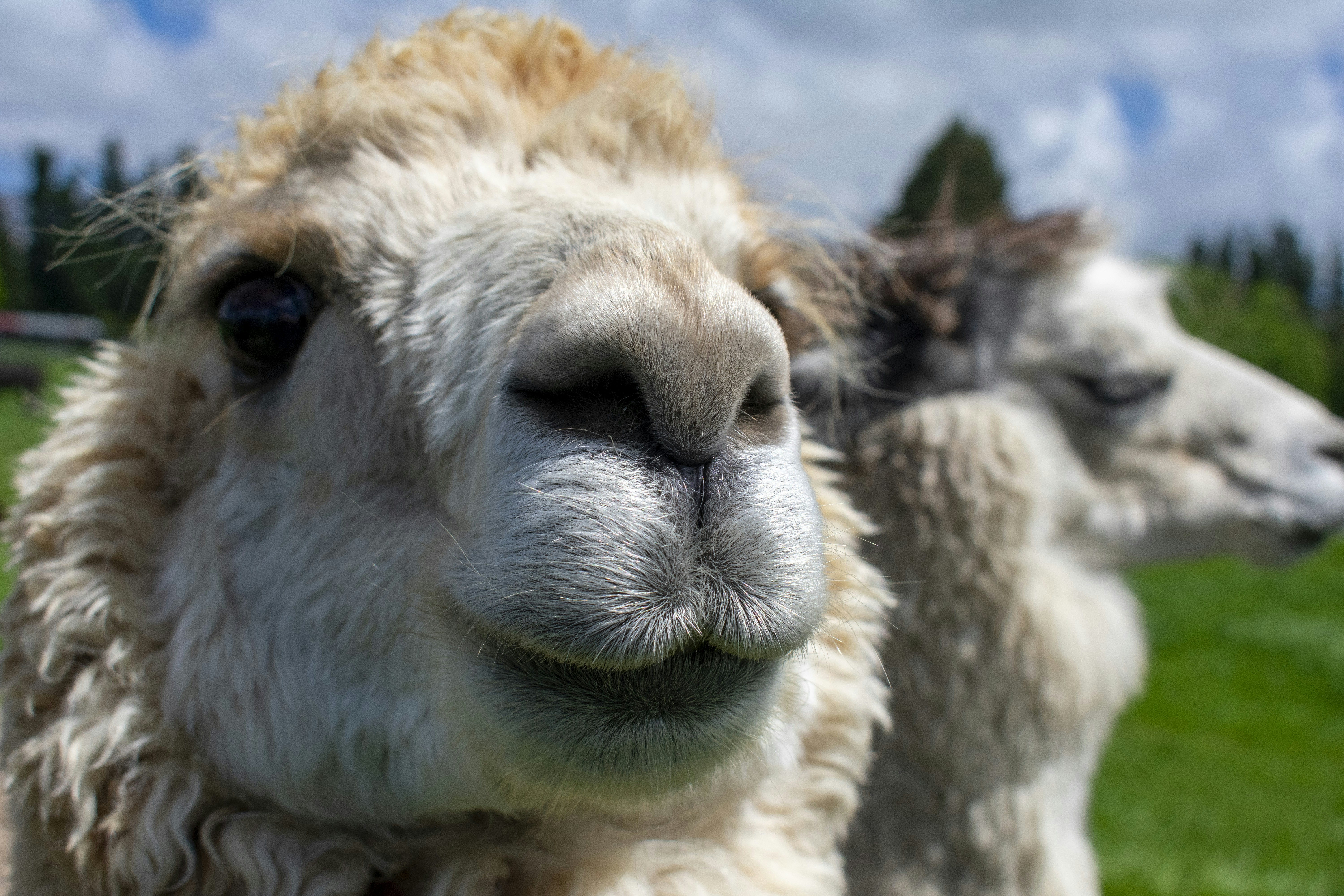 Photo by ellephant_photography