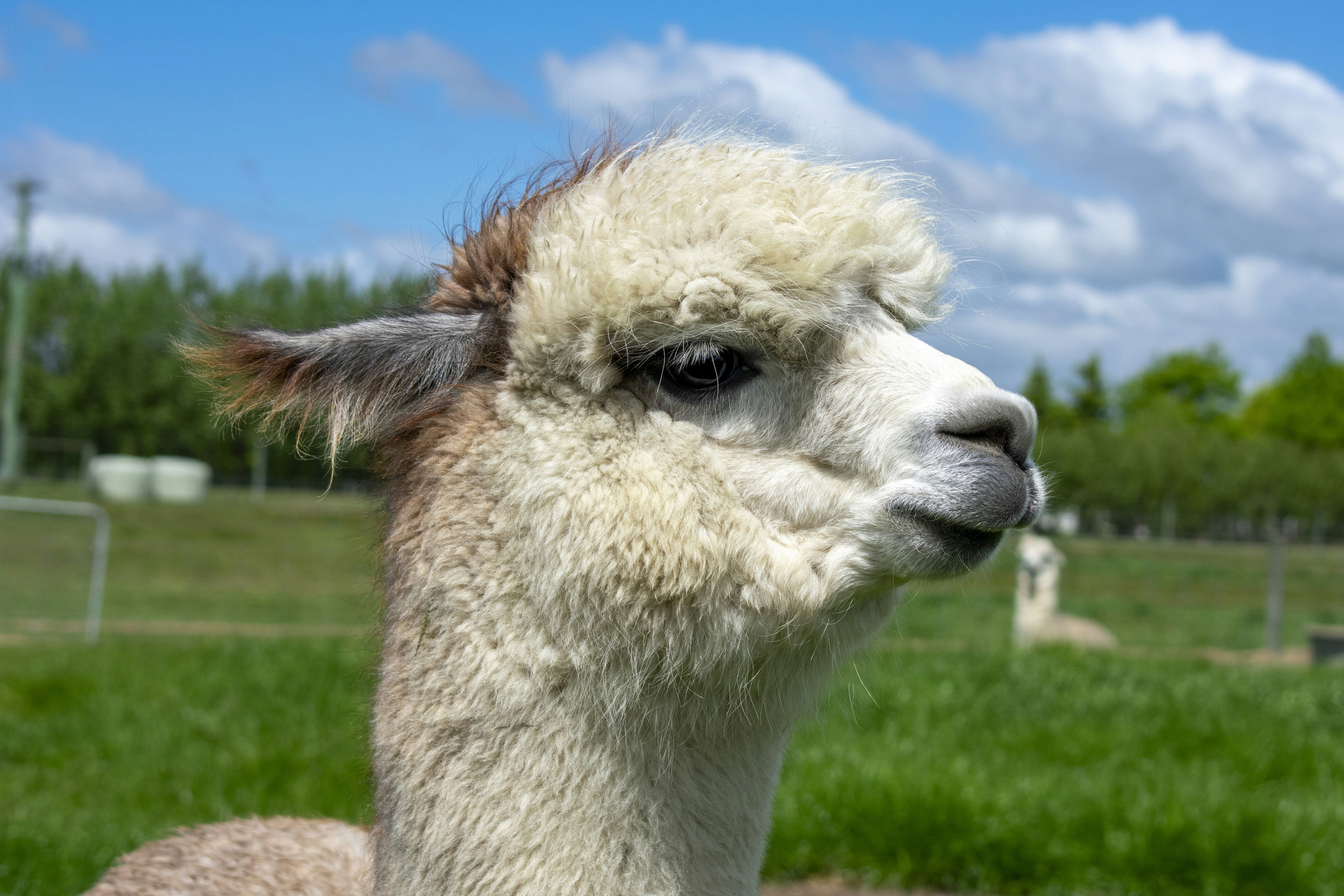 Photo by ellephant_photography