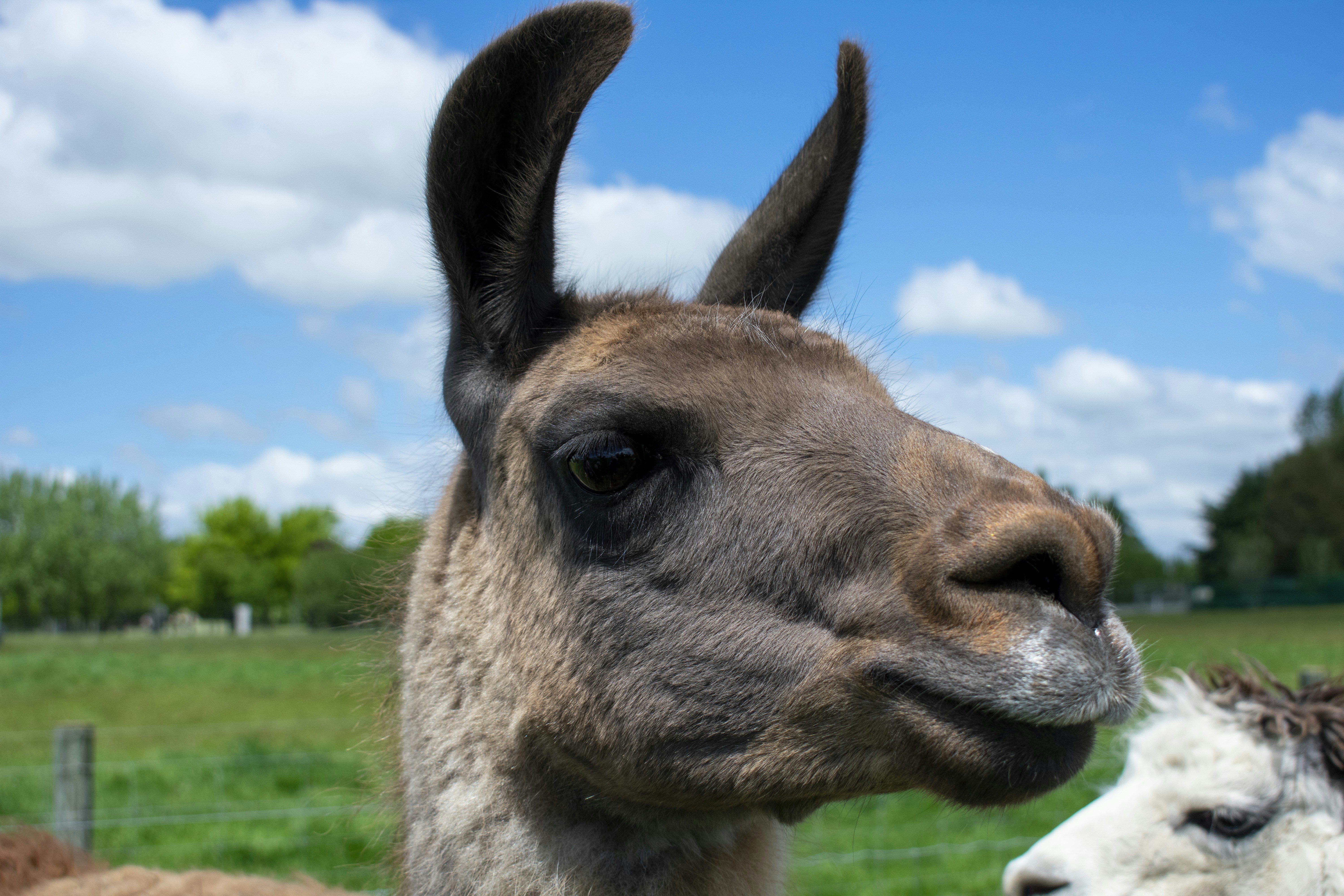 Photo by ellephant_photography