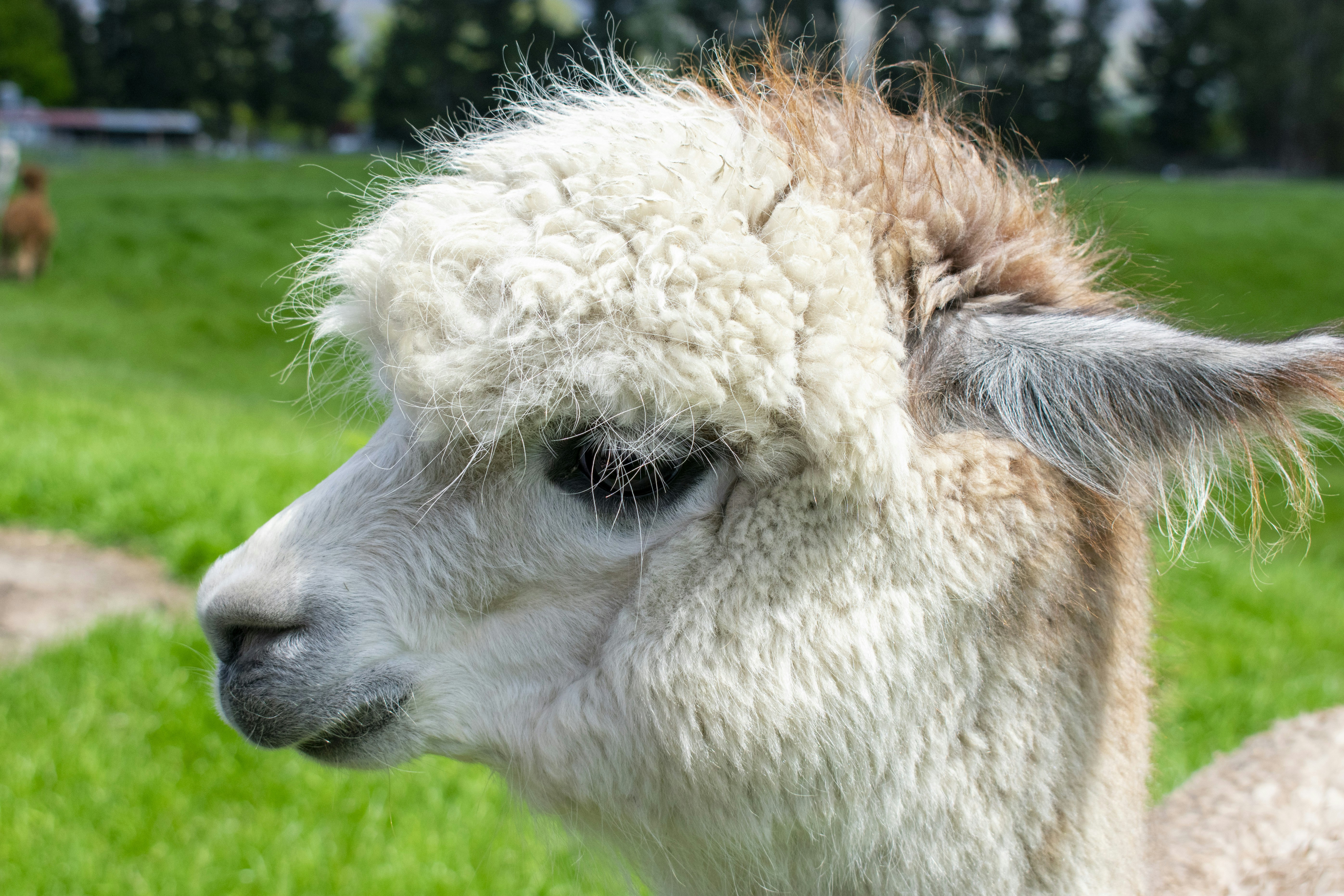 Photo by ellephant_photography