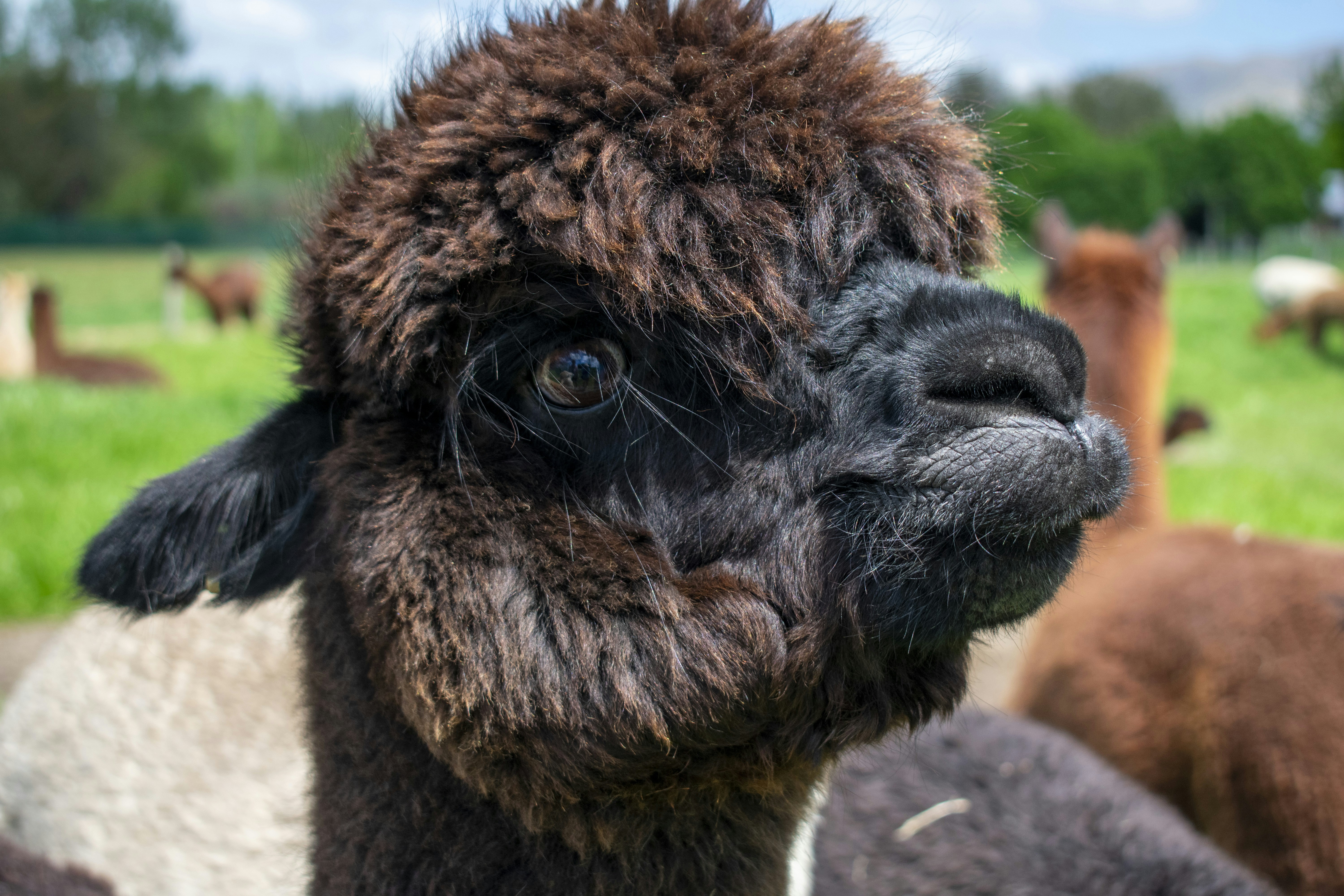 Photo by ellephant_photography