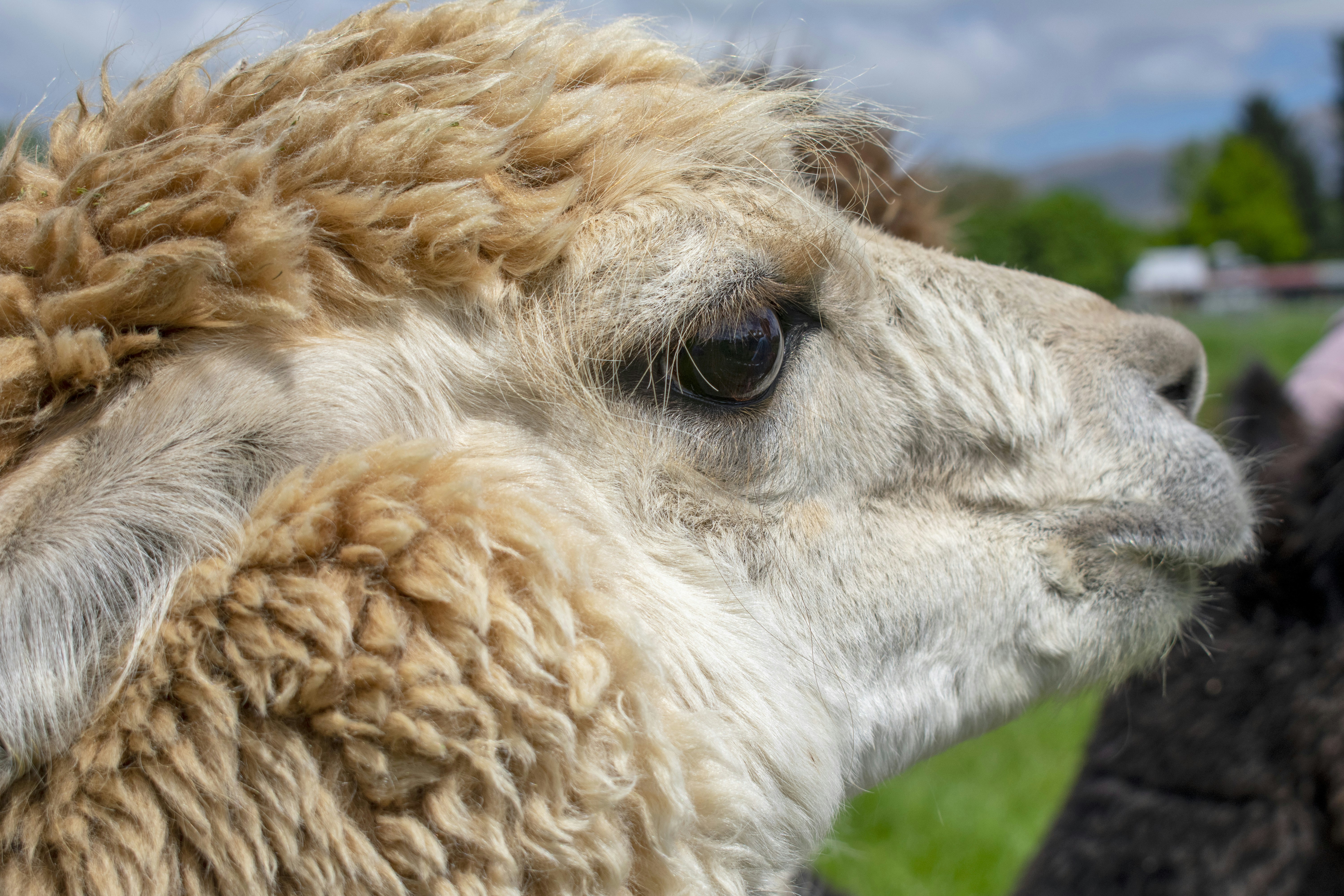 Photo by ellephant_photography