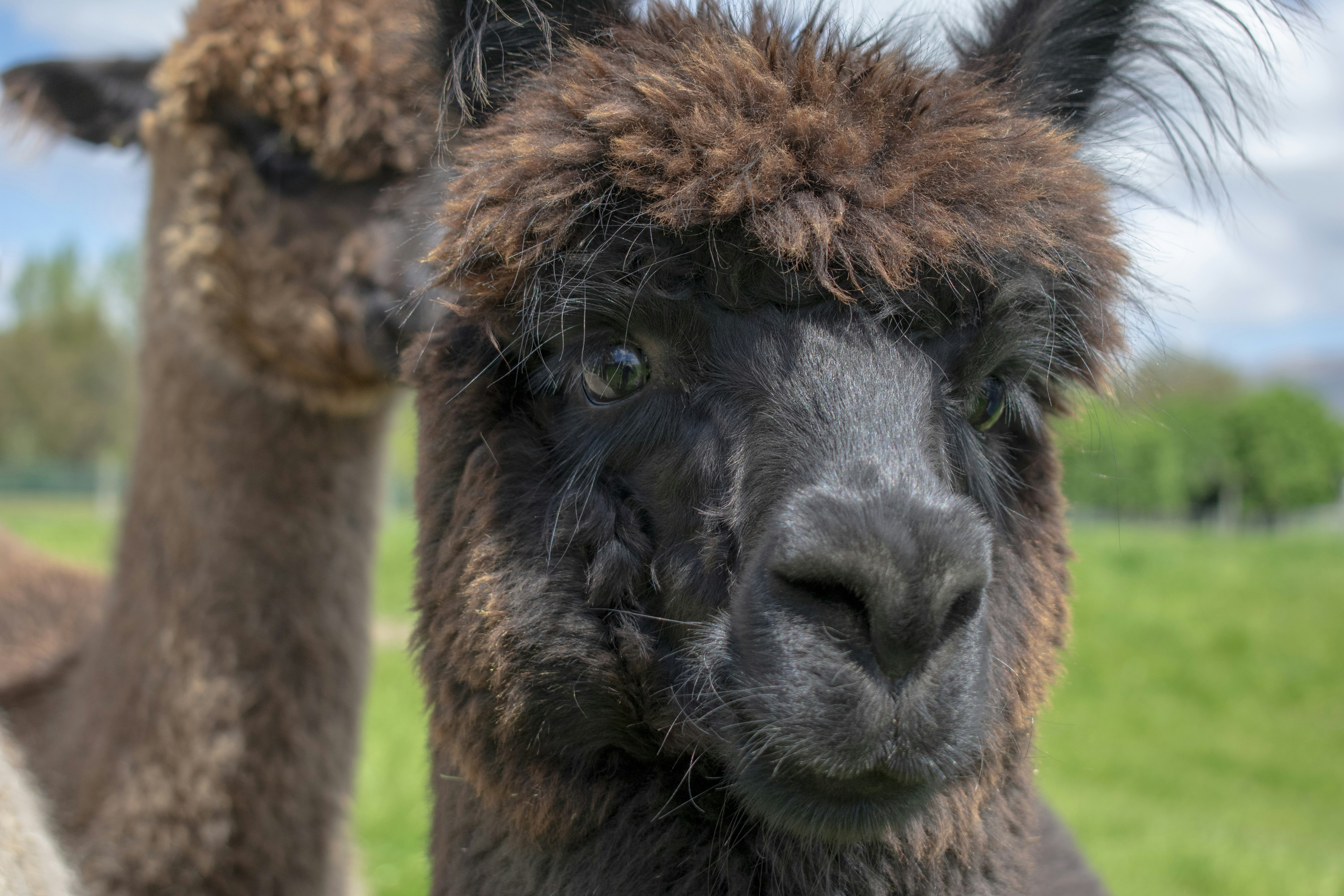 Photo by ellephant_photography