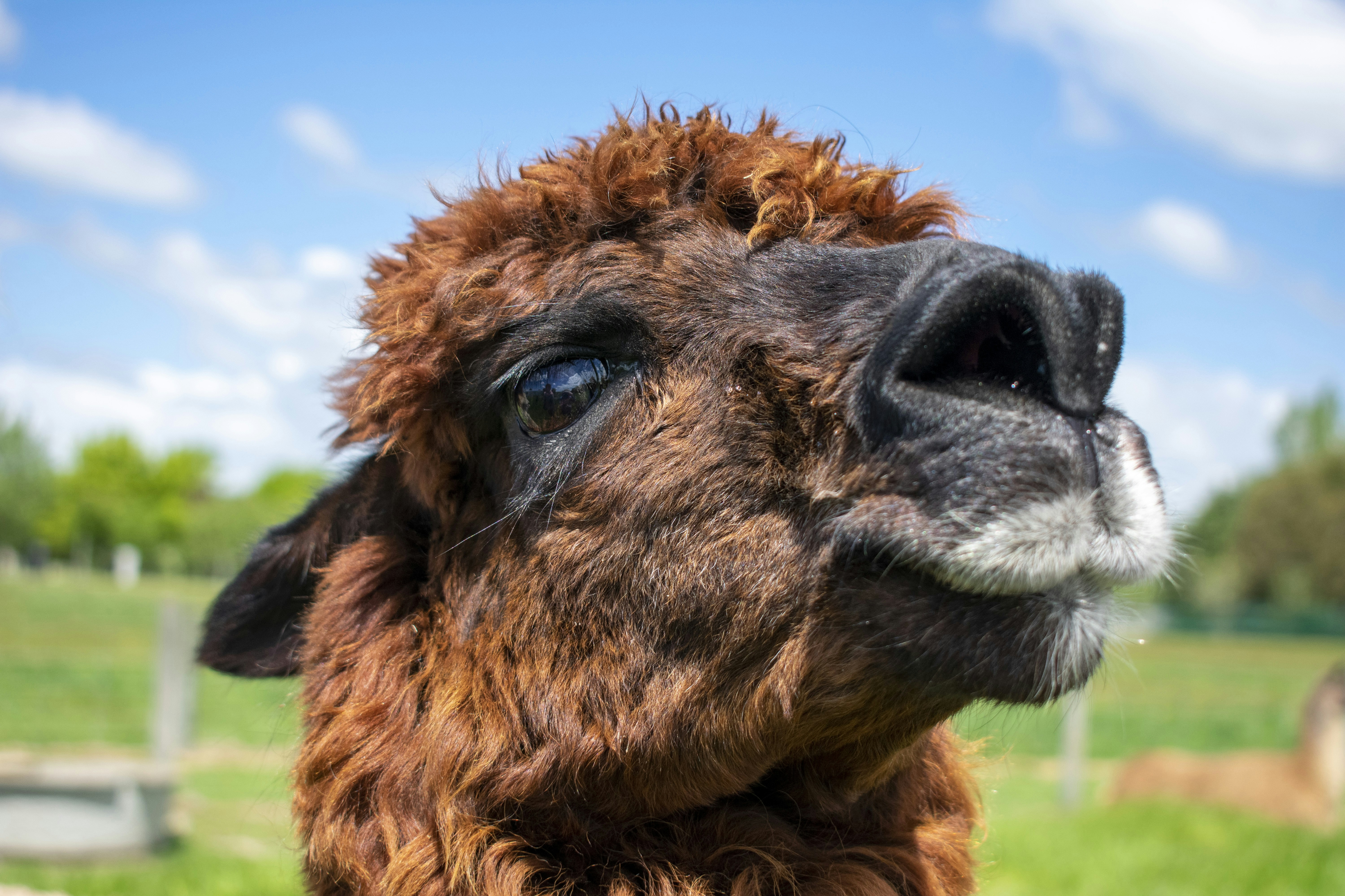 Photo by ellephant_photography