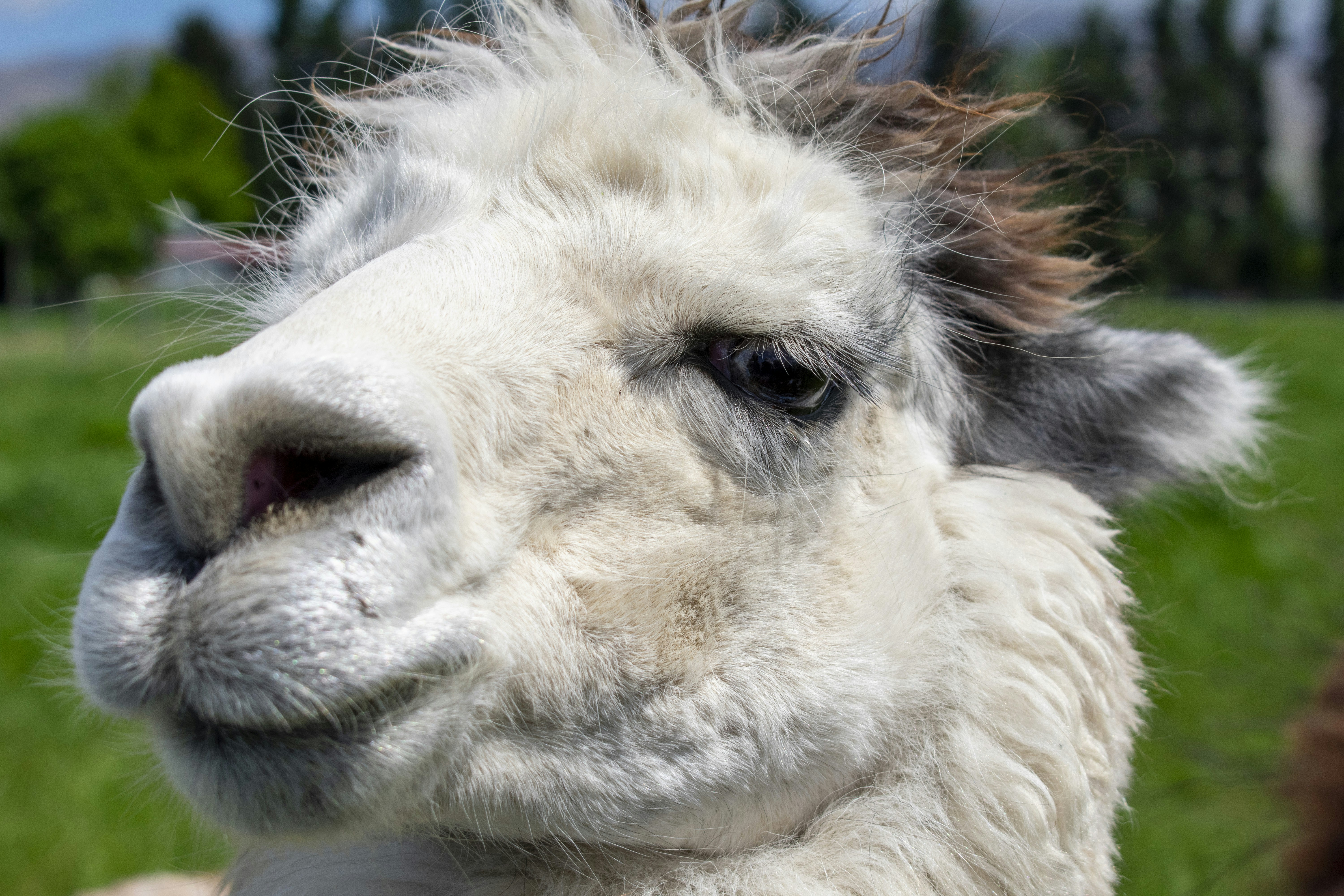 Photo by ellephant_photography