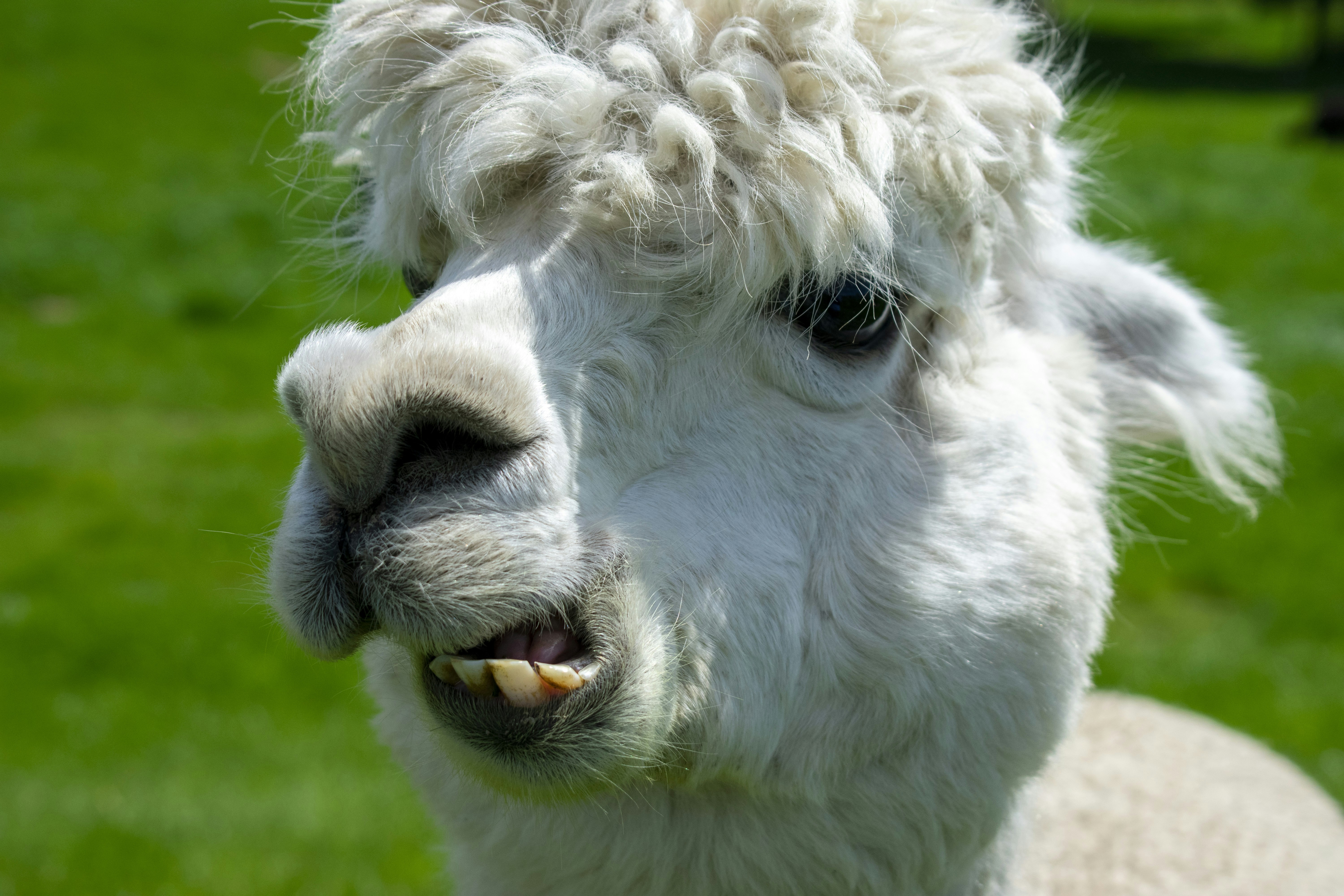 Photo by ellephant_photography