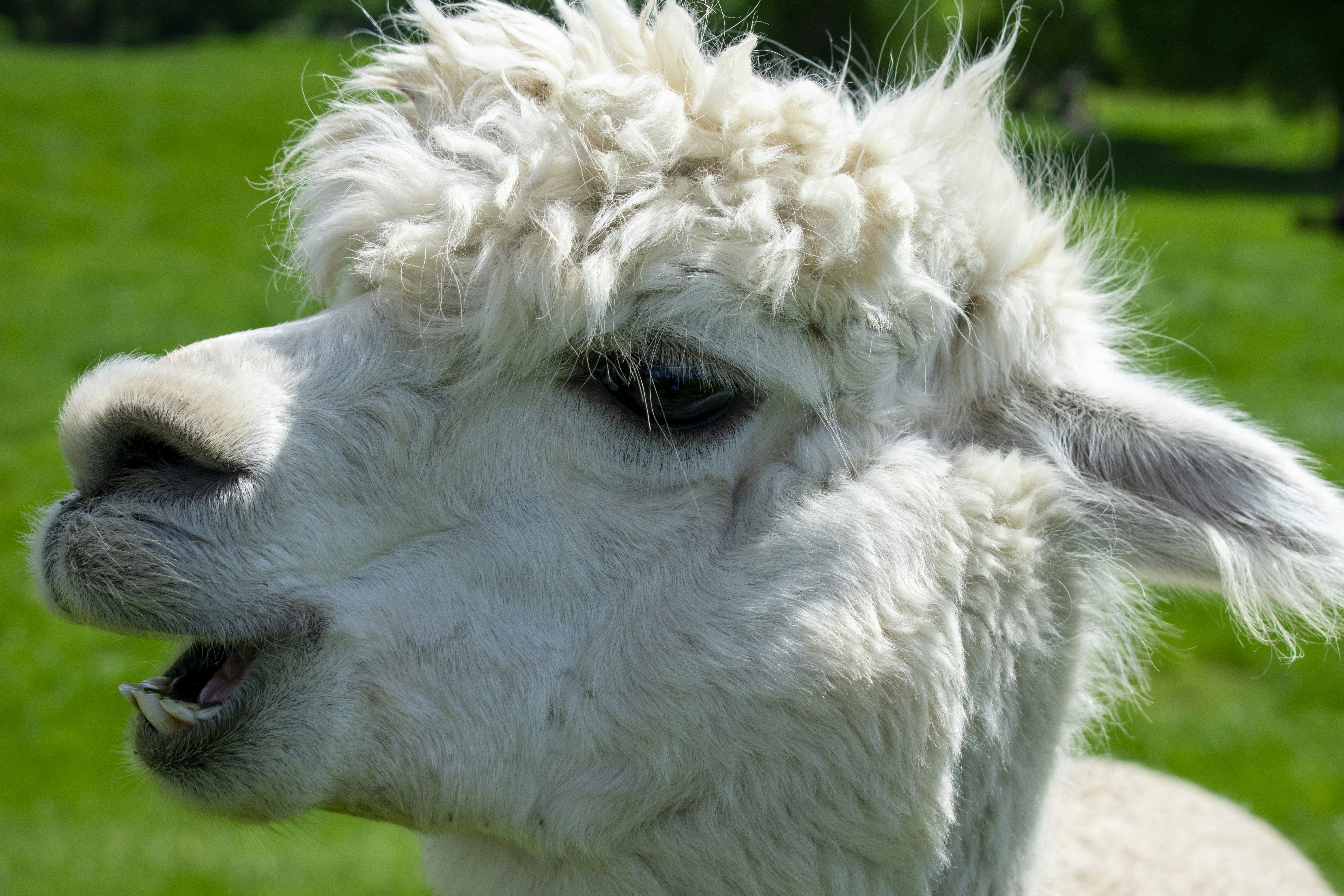 Photo by ellephant_photography