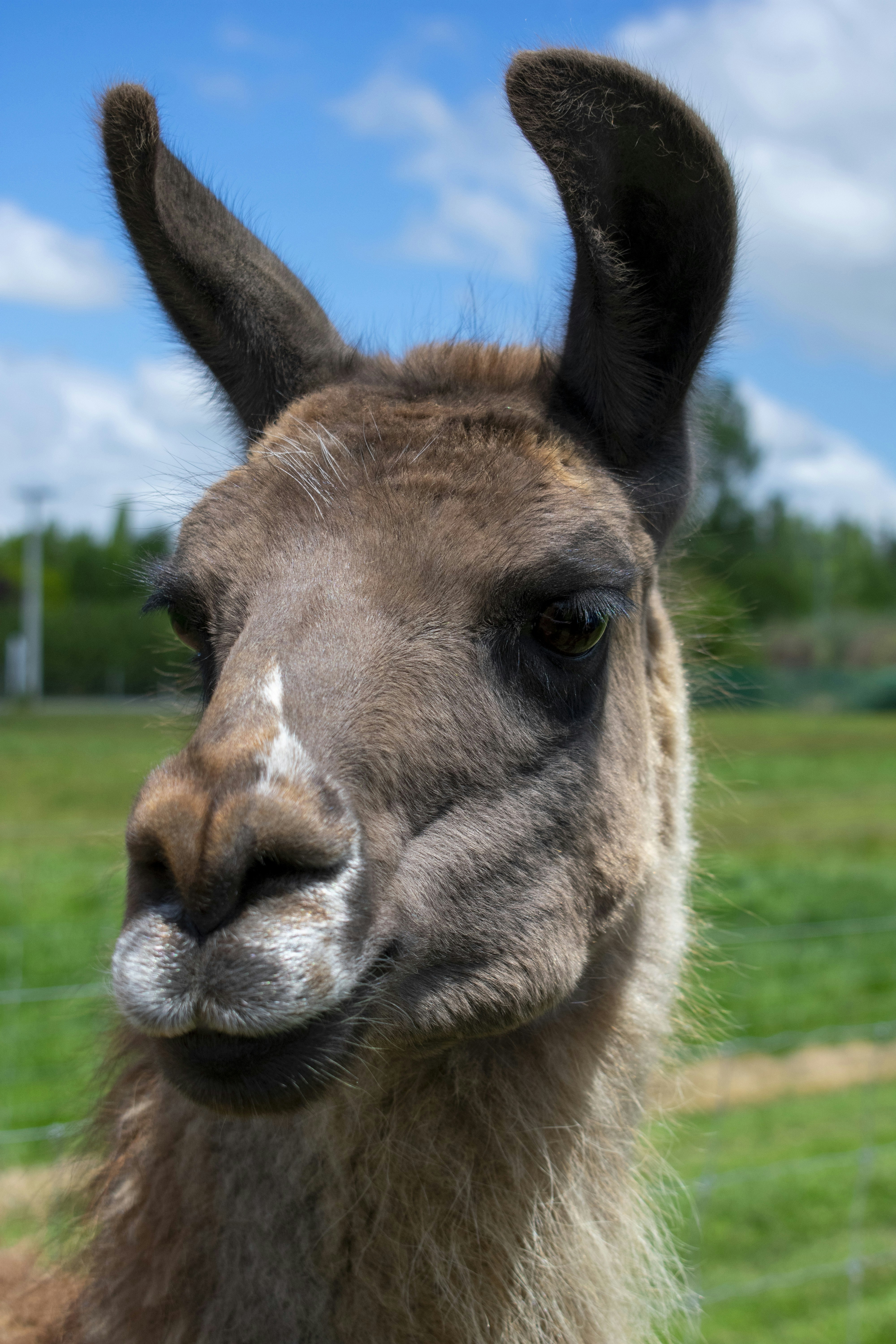 Photo by ellephant_photography