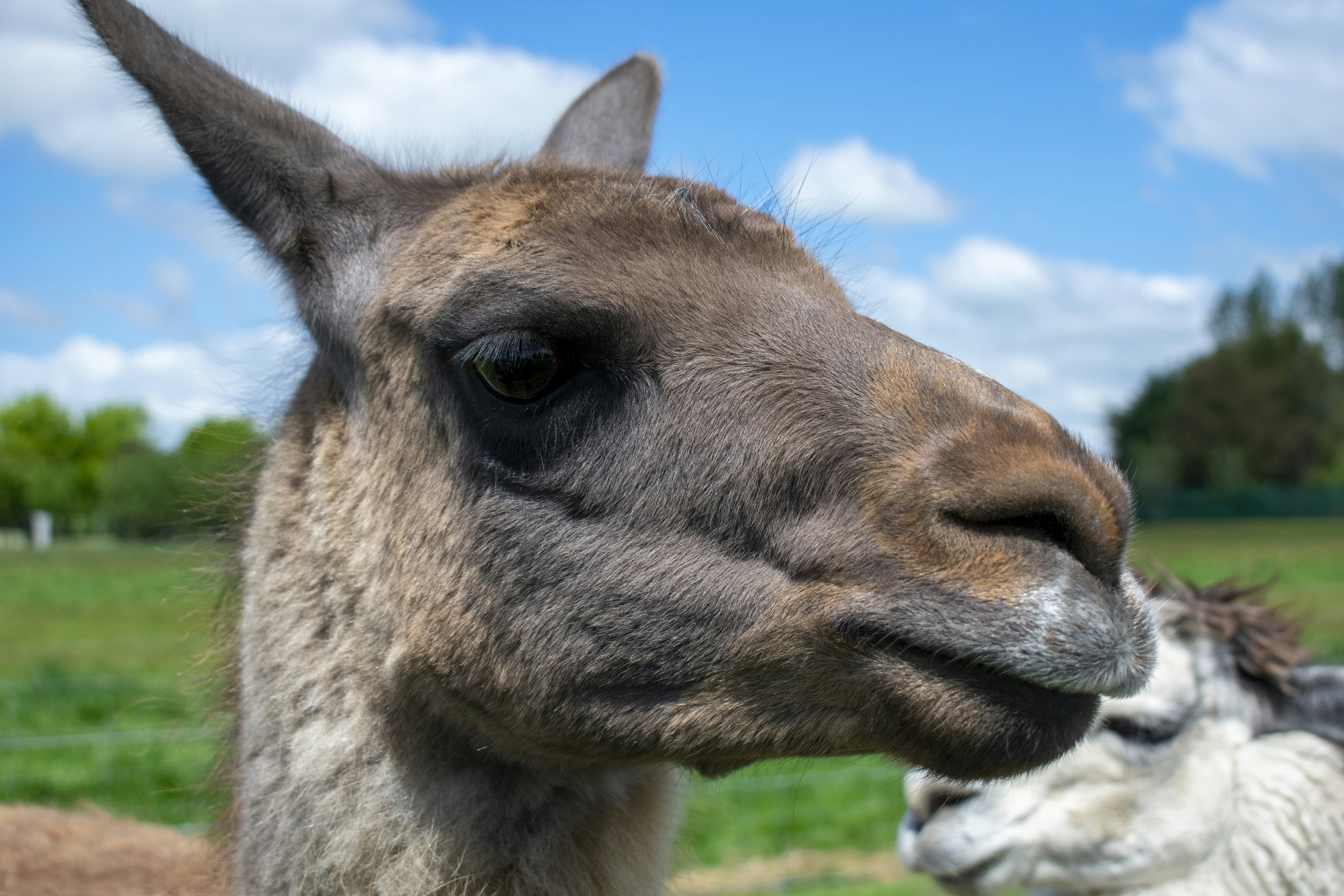 Photo by ellephant_photography