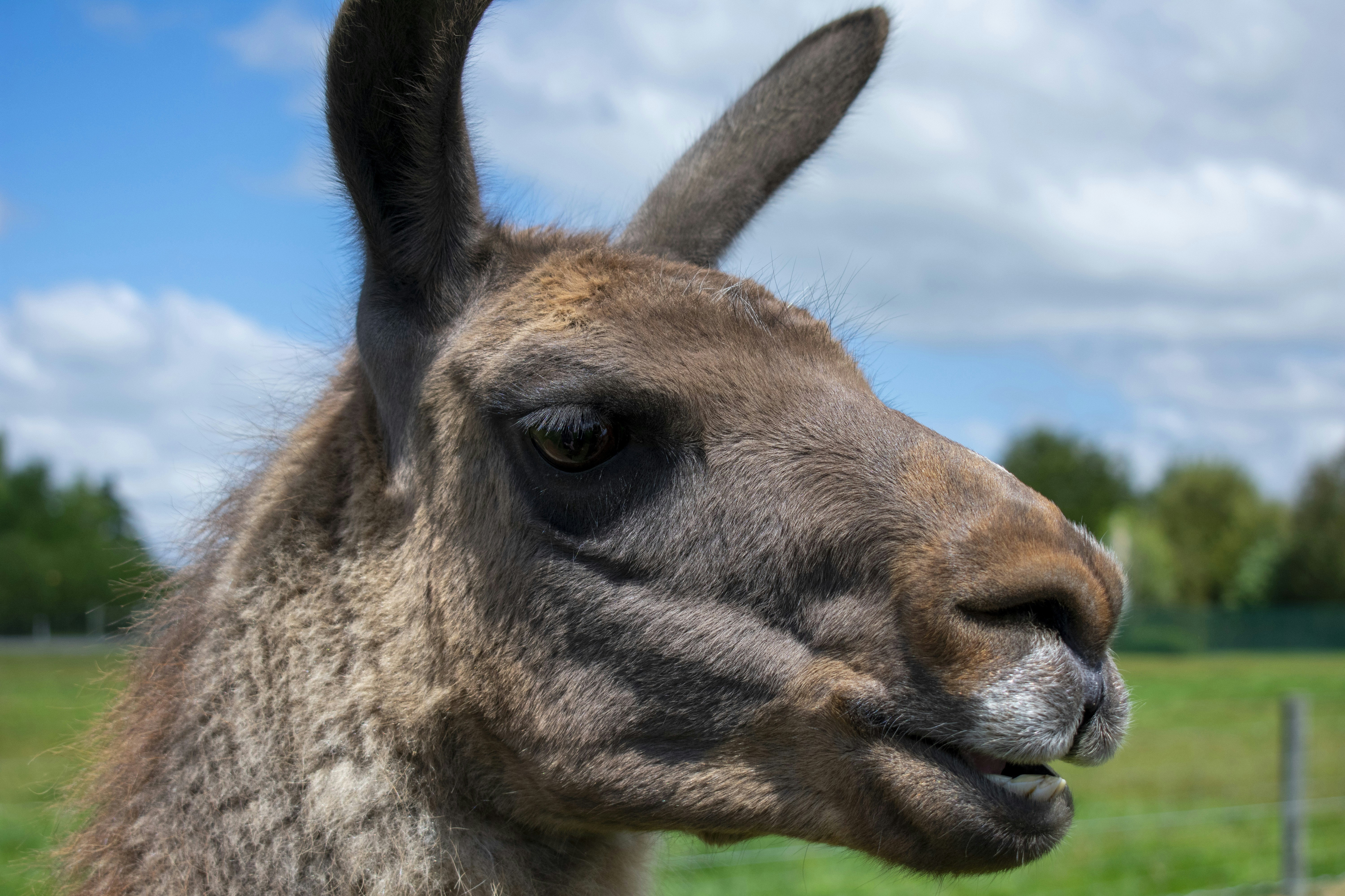 Photo by ellephant_photography