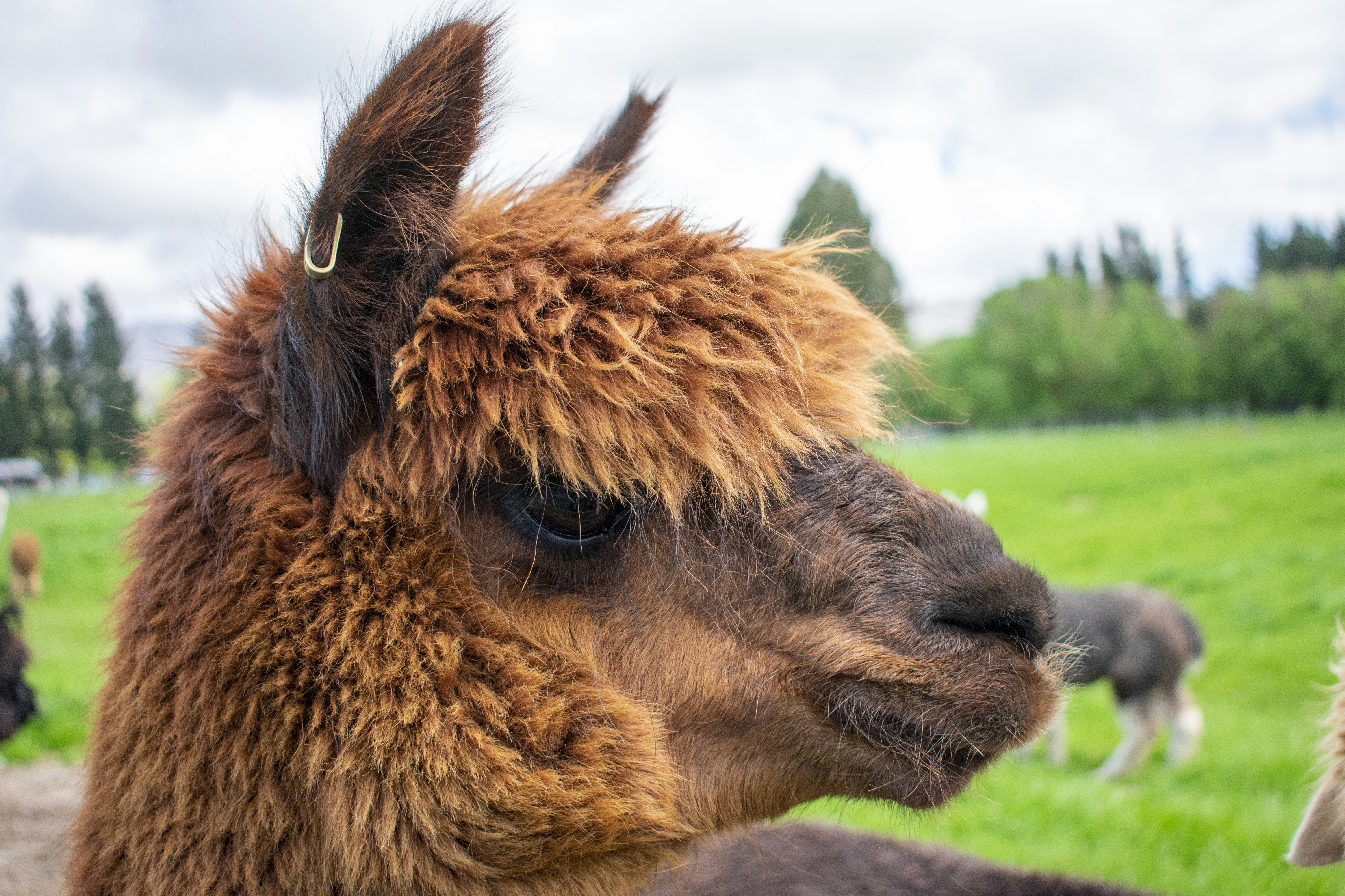 Photo by ellephant_photography