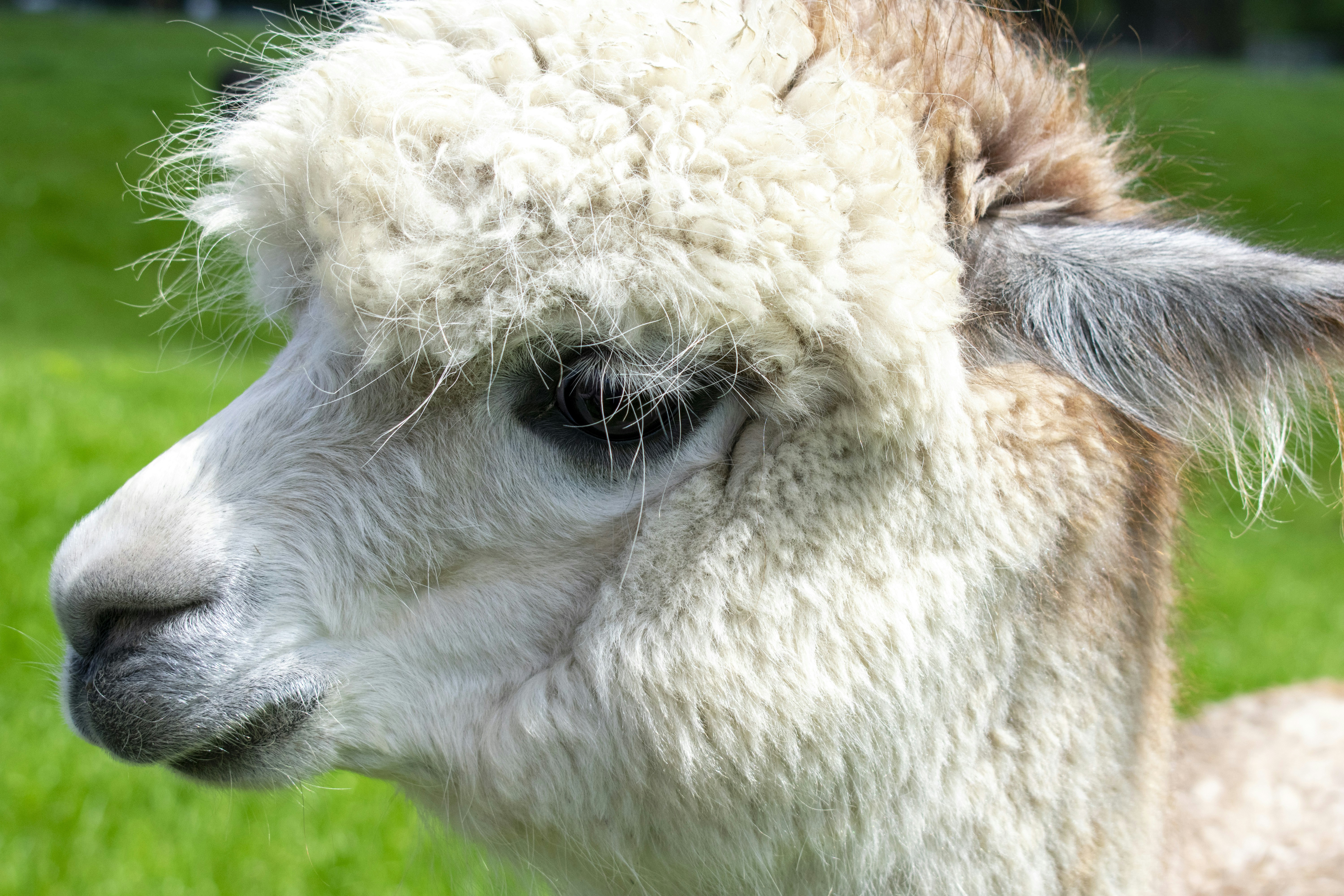 Photo by ellephant_photography