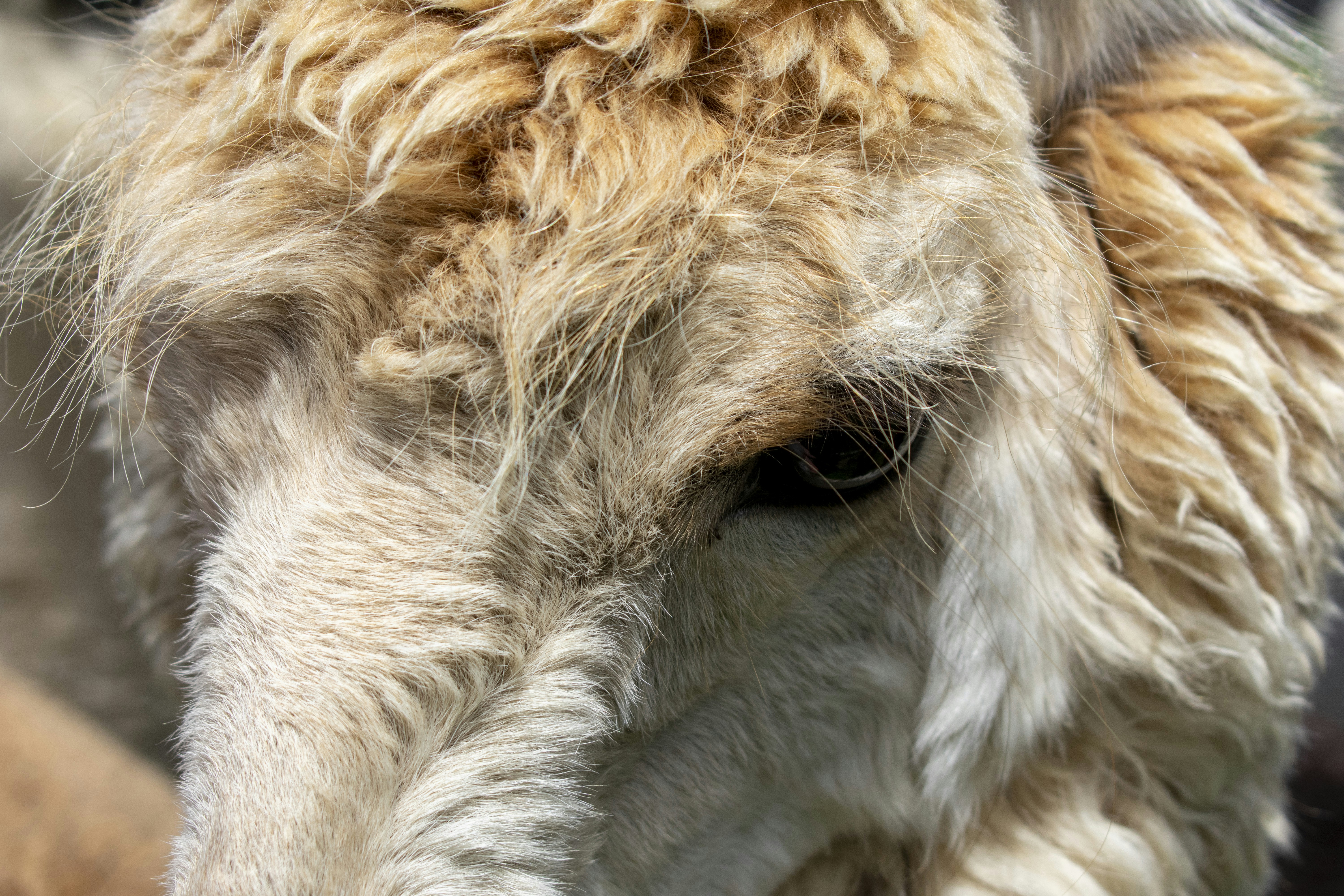 Photo by ellephant_photography