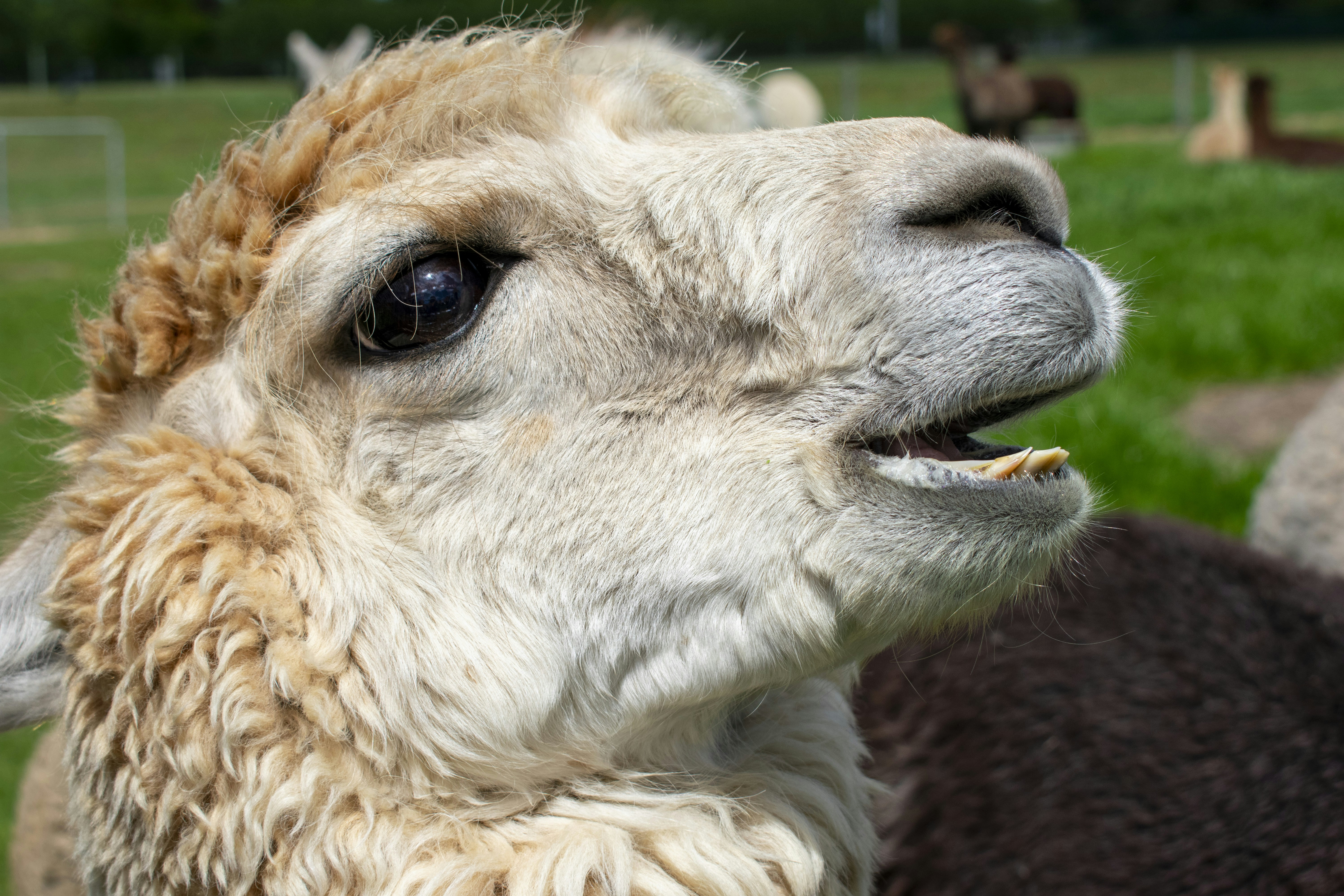 Photo by ellephant_photography