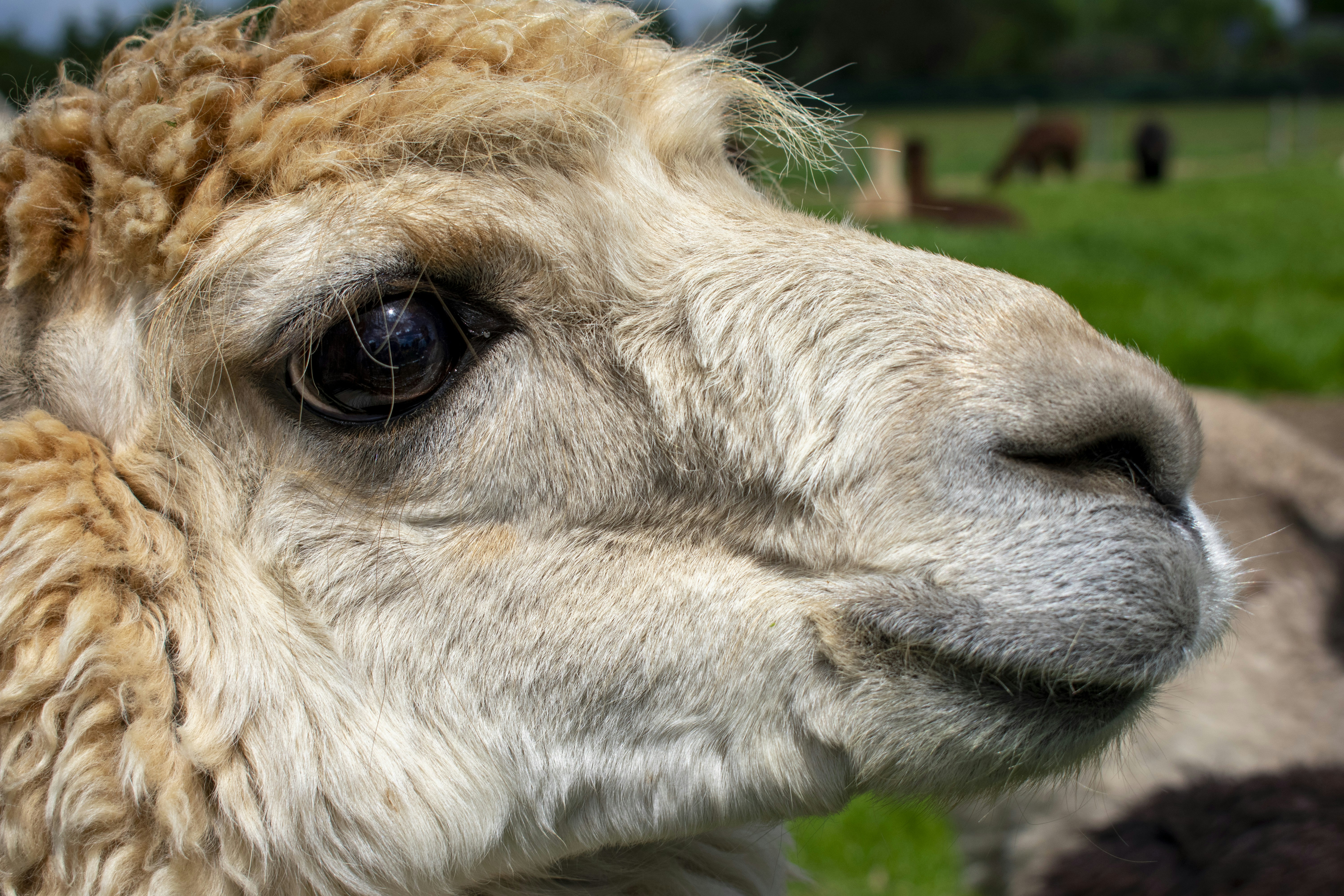 Photo by ellephant_photography