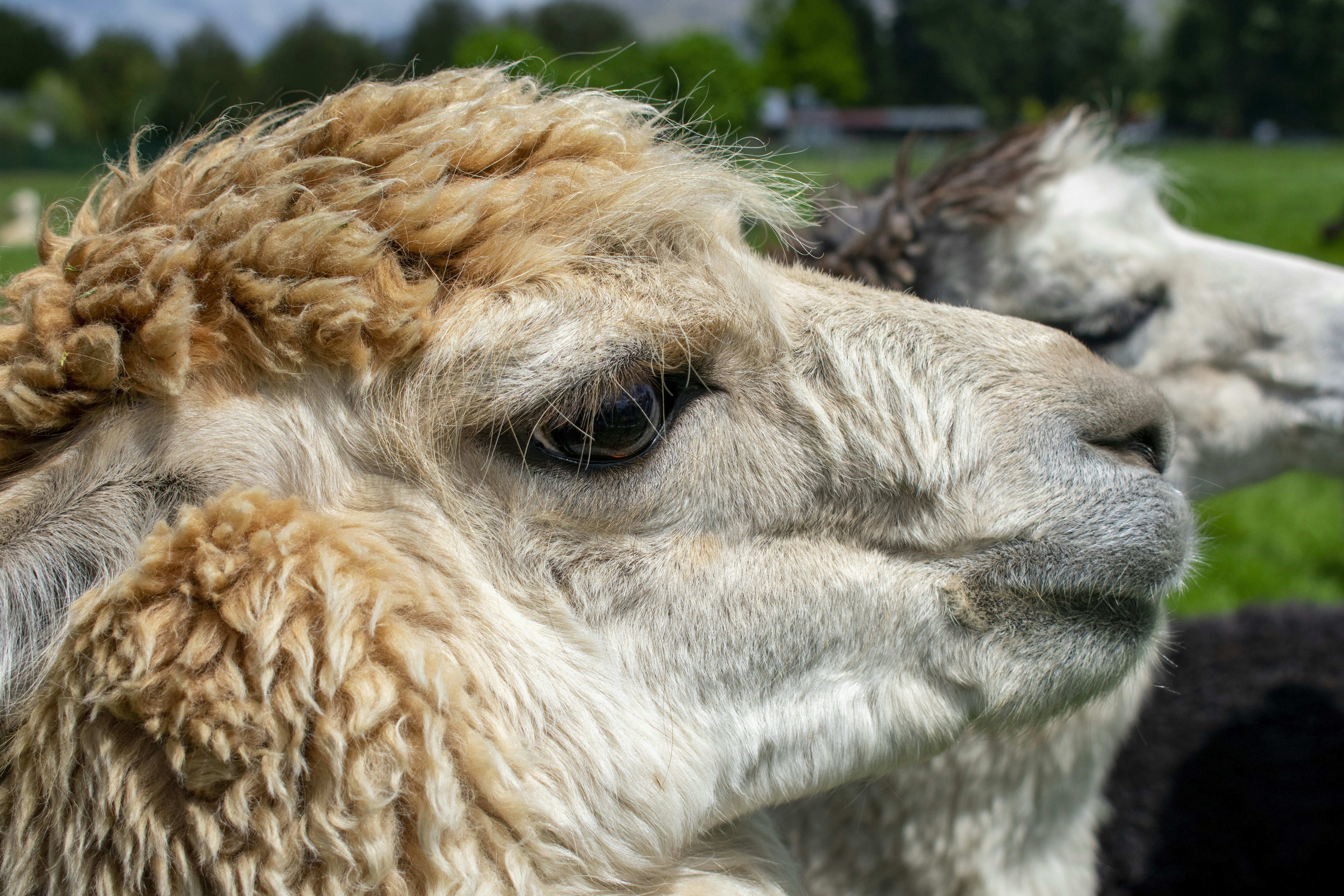 Photo by ellephant_photography