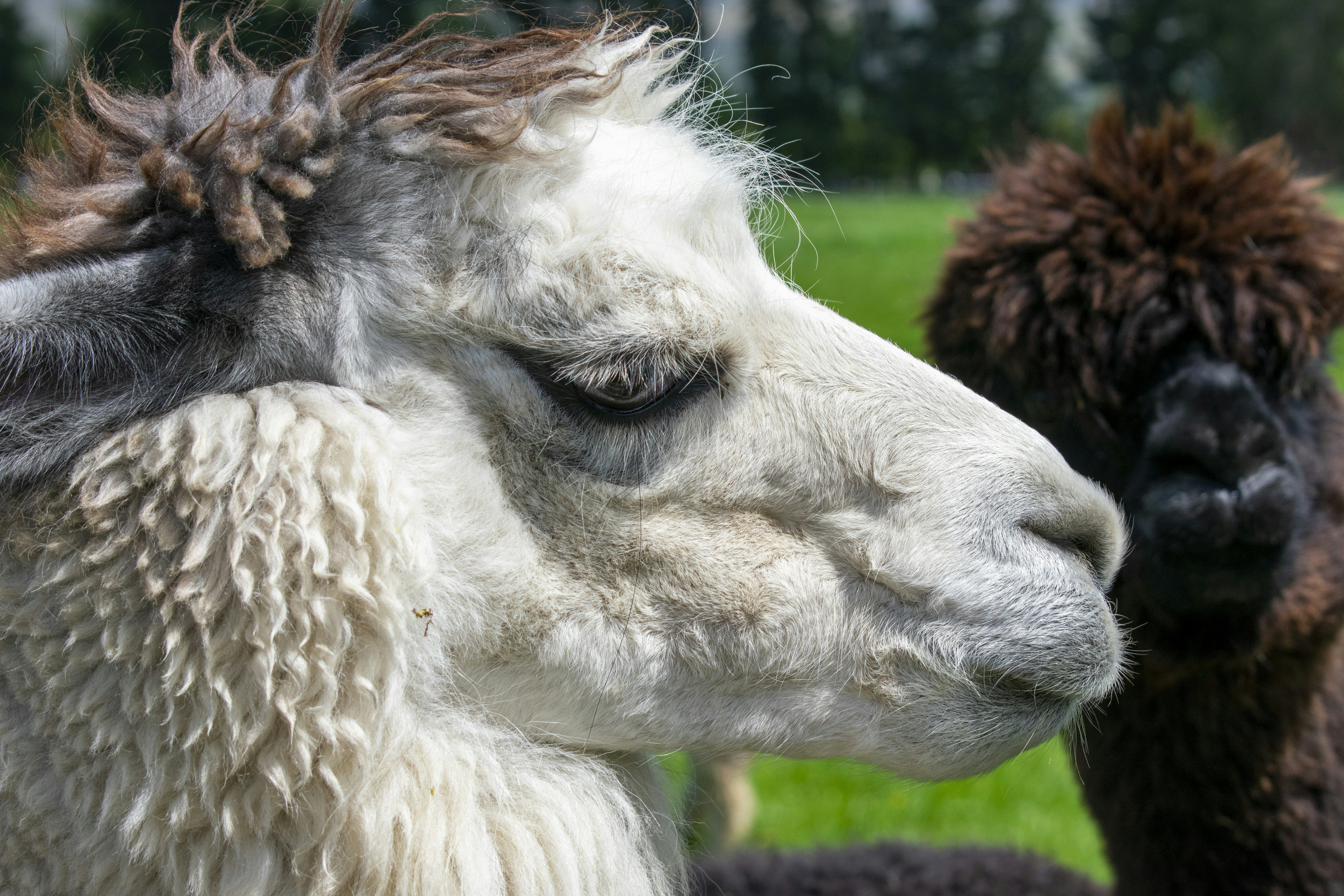 Photo by ellephant_photography