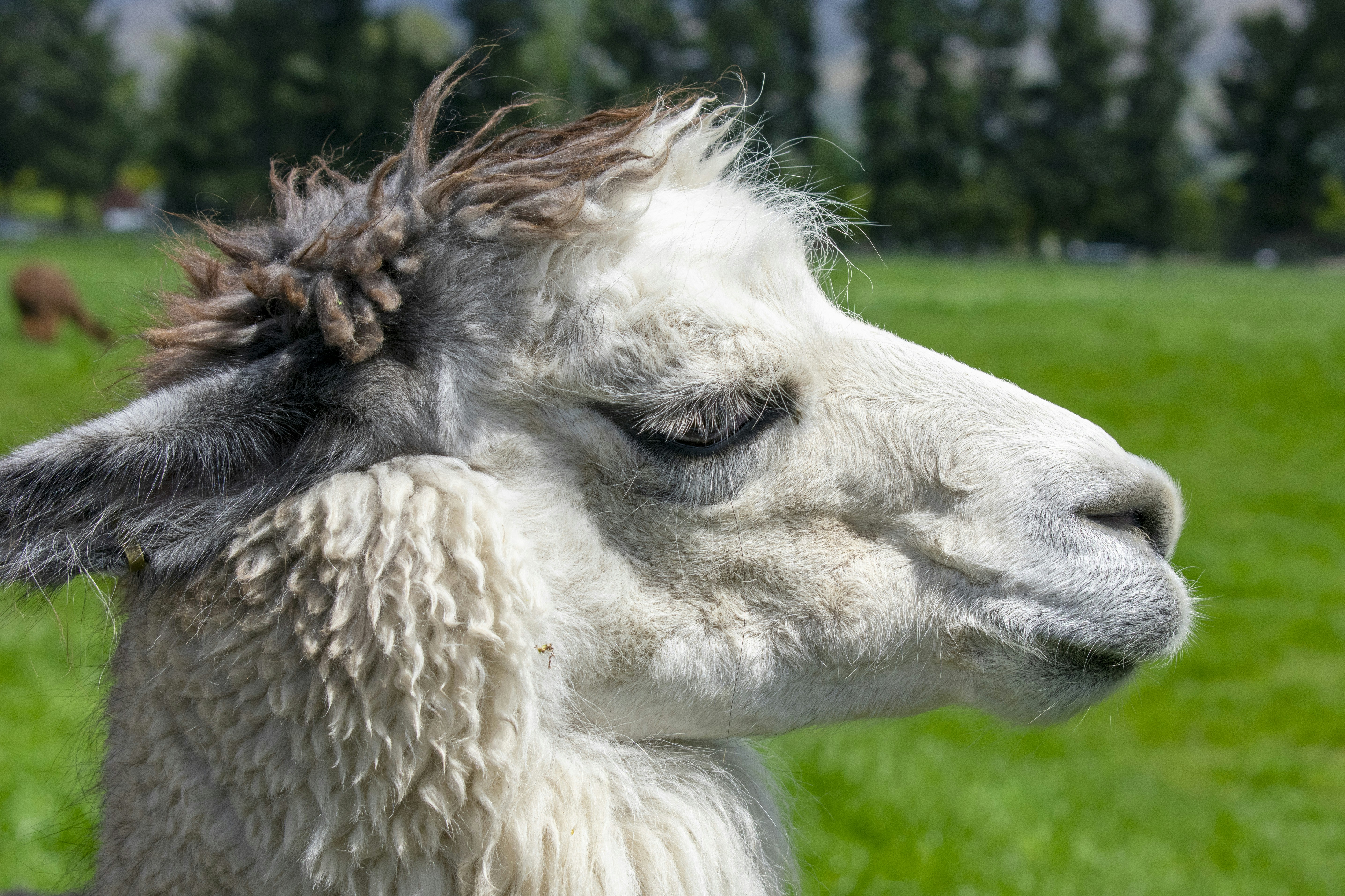 Photo by ellephant_photography